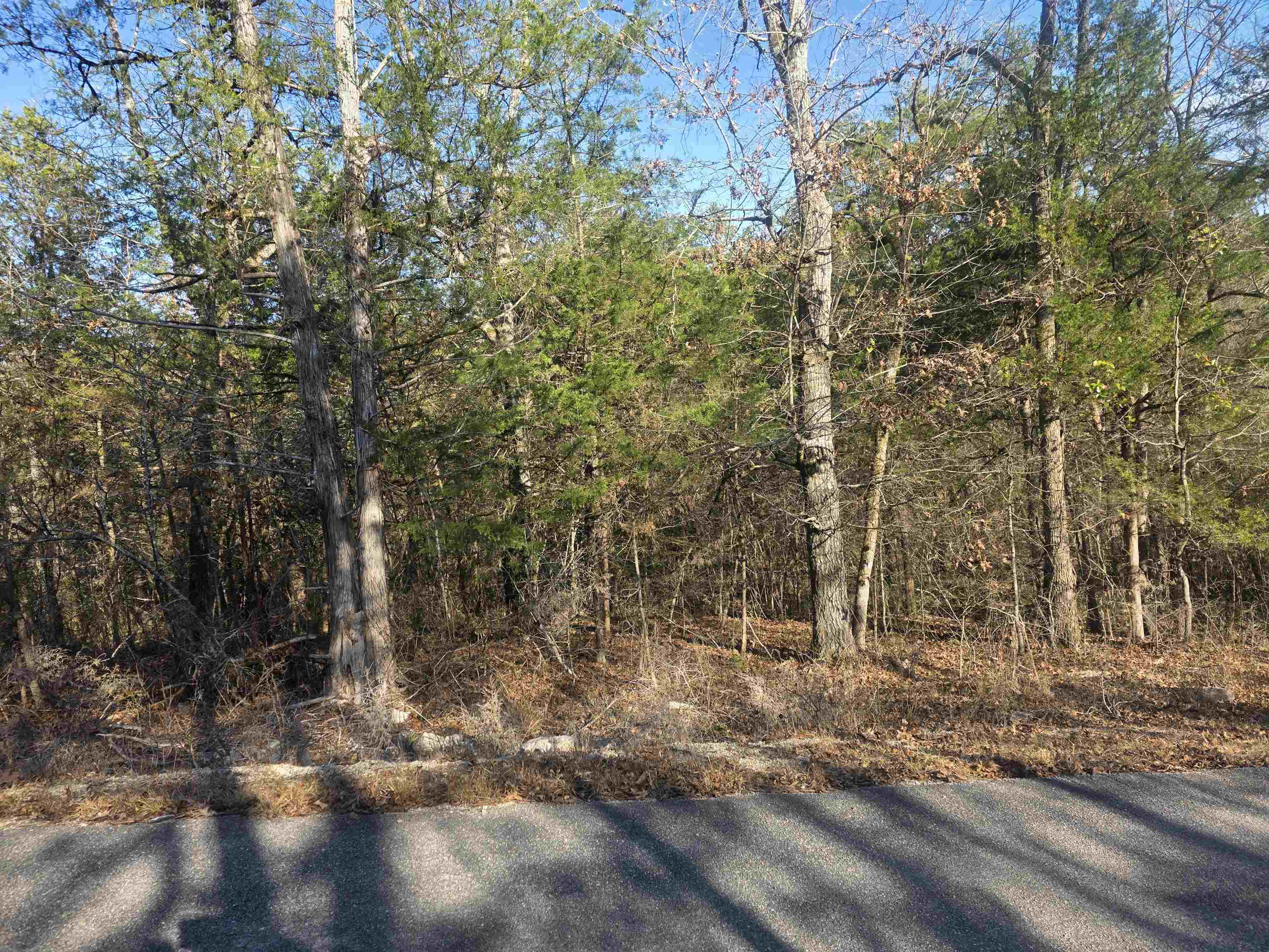 Photo 9 - Vacant Land for sale – L-16, B-4  Indian   Cherokee Village, AR