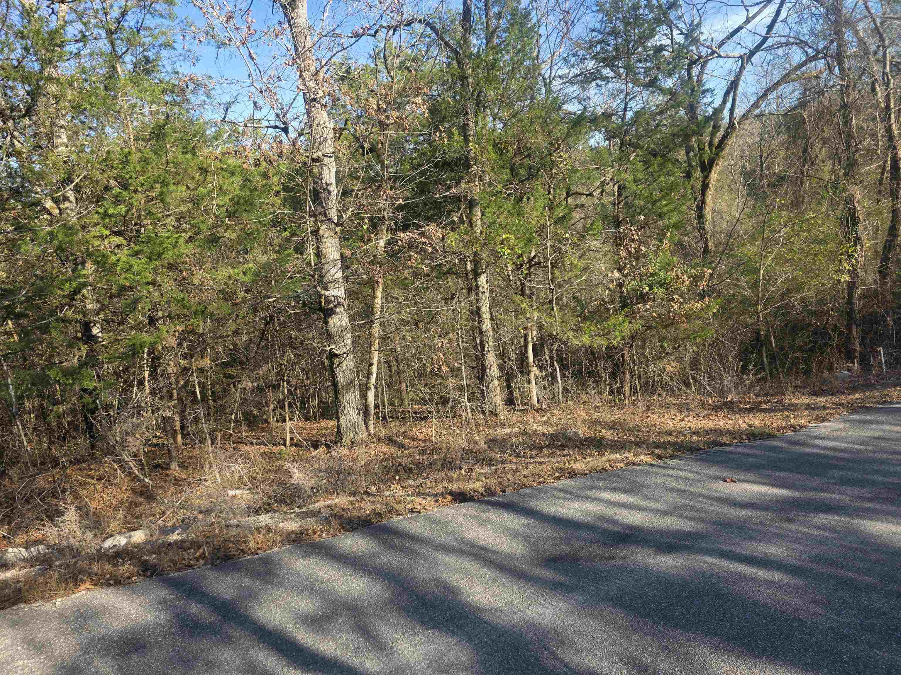 Photo 10 - Vacant Land for sale – L-16, B-4  Indian   Cherokee Village, AR