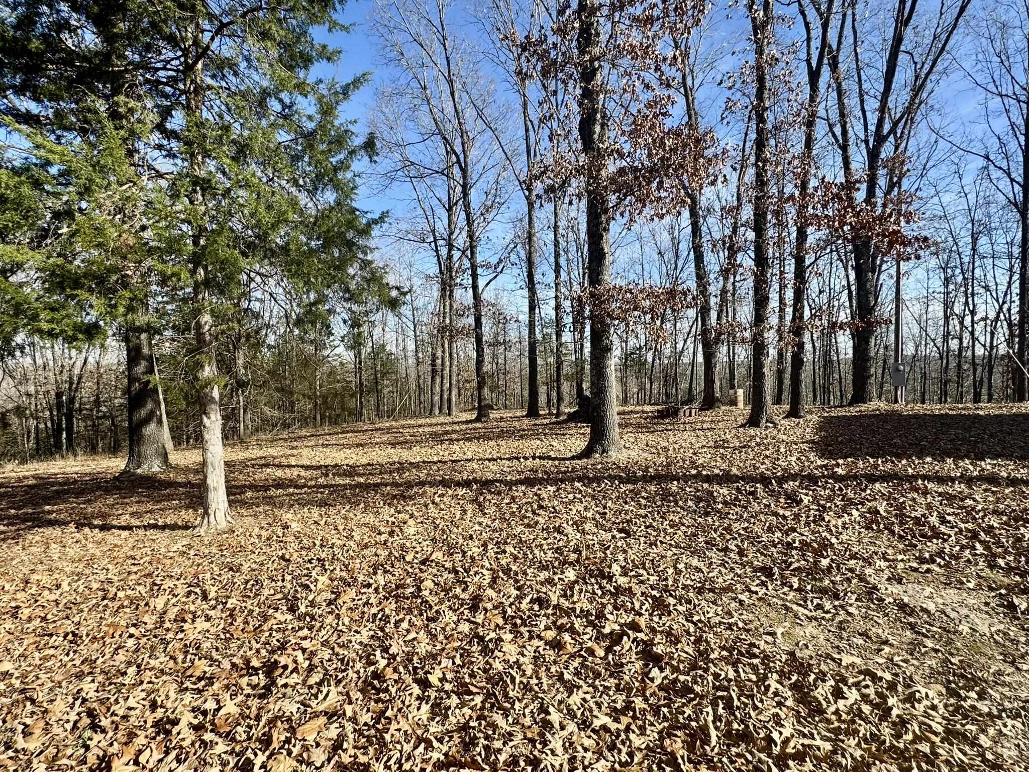 Photo 11 - Residential for sale – 1400  Antioch Road   Melbourne, AR