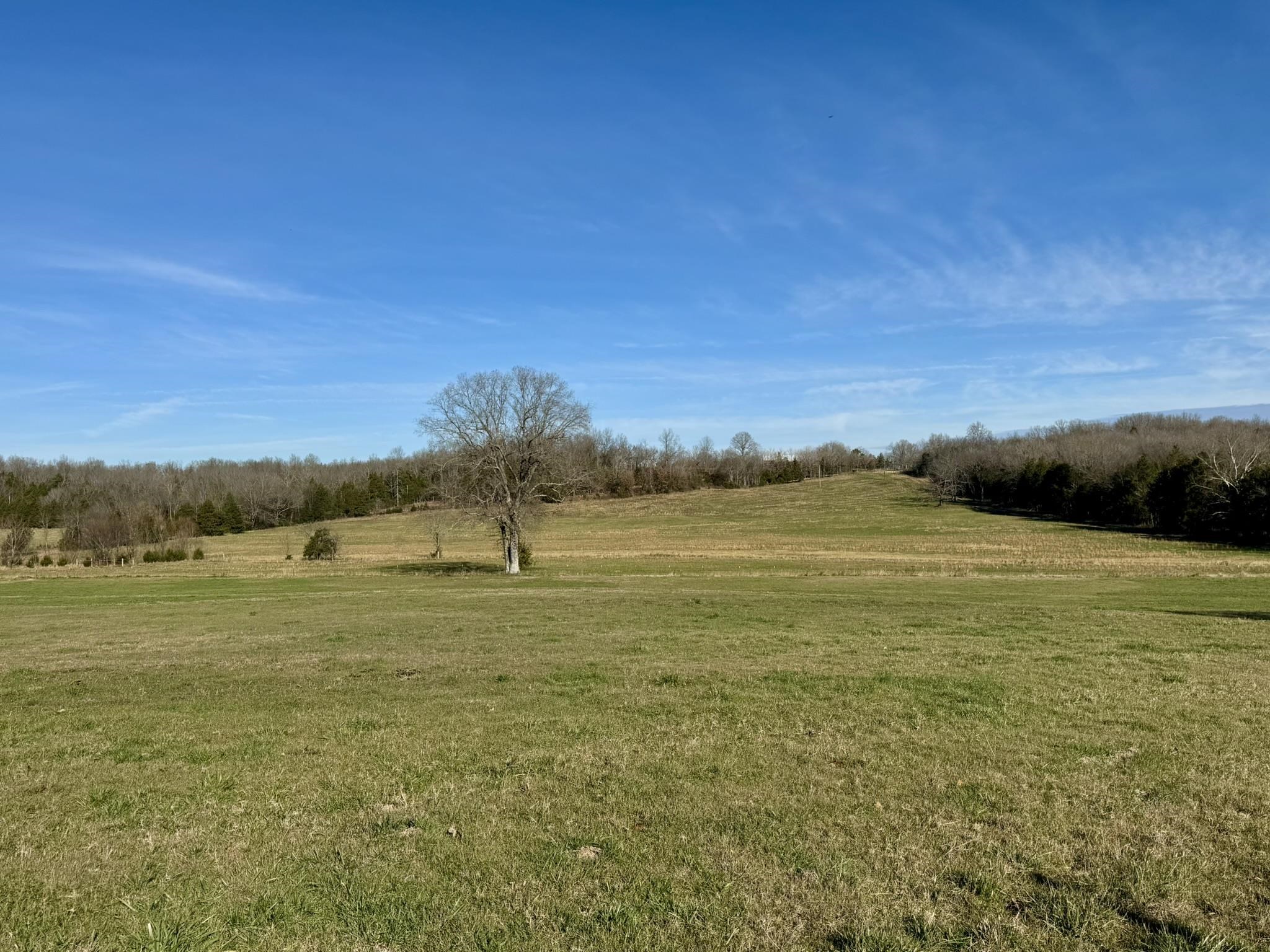 Photo 12 - Residential for sale – 1400  Antioch Road   Melbourne, AR