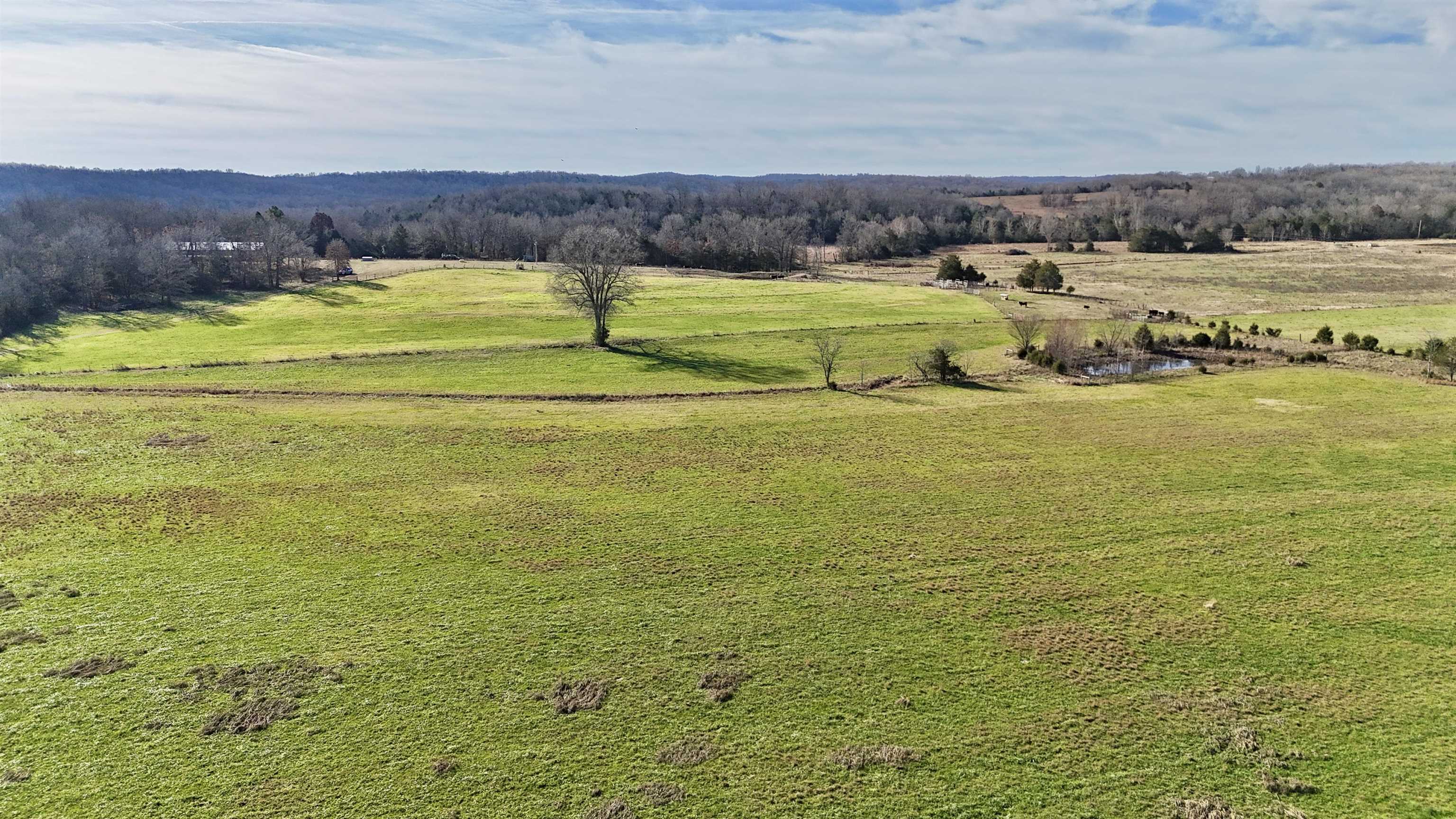 Photo 17 - Residential for sale – 1400  Antioch Road   Melbourne, AR