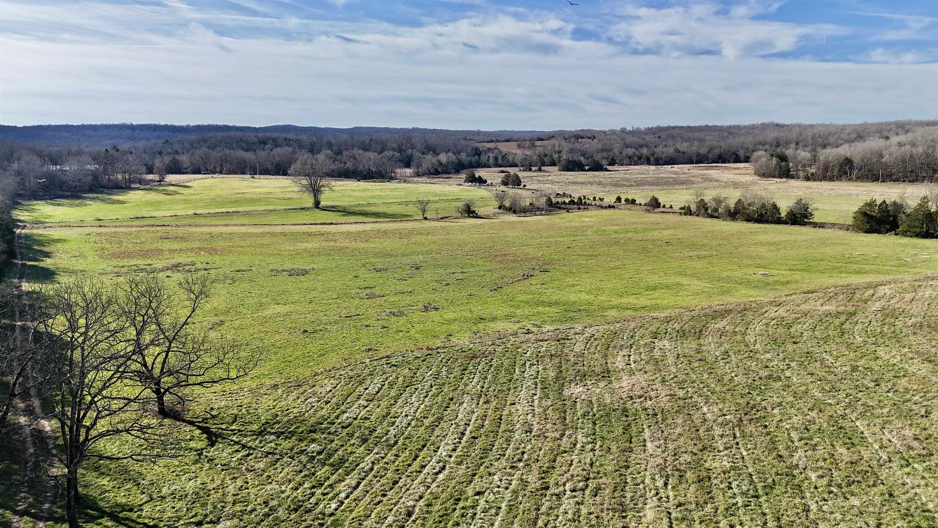 Photo 18 - Residential for sale – 1400  Antioch Road   Melbourne, AR