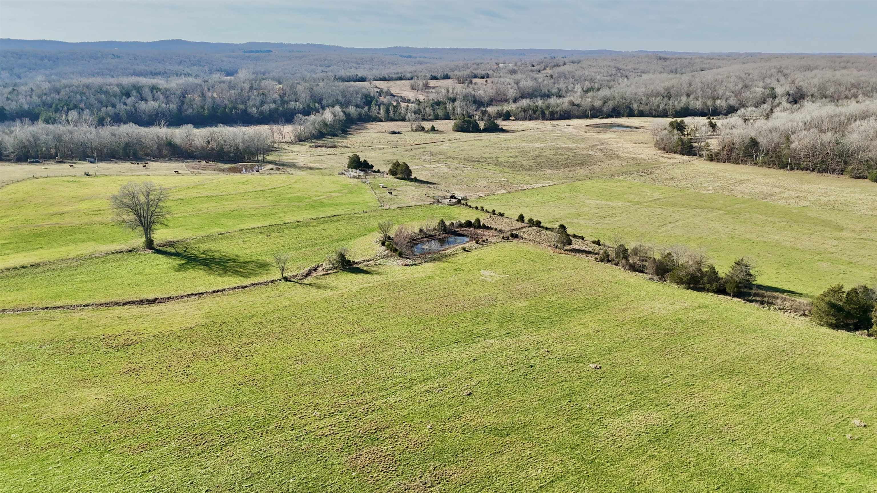 Photo 19 - Residential for sale – 1400  Antioch Road   Melbourne, AR