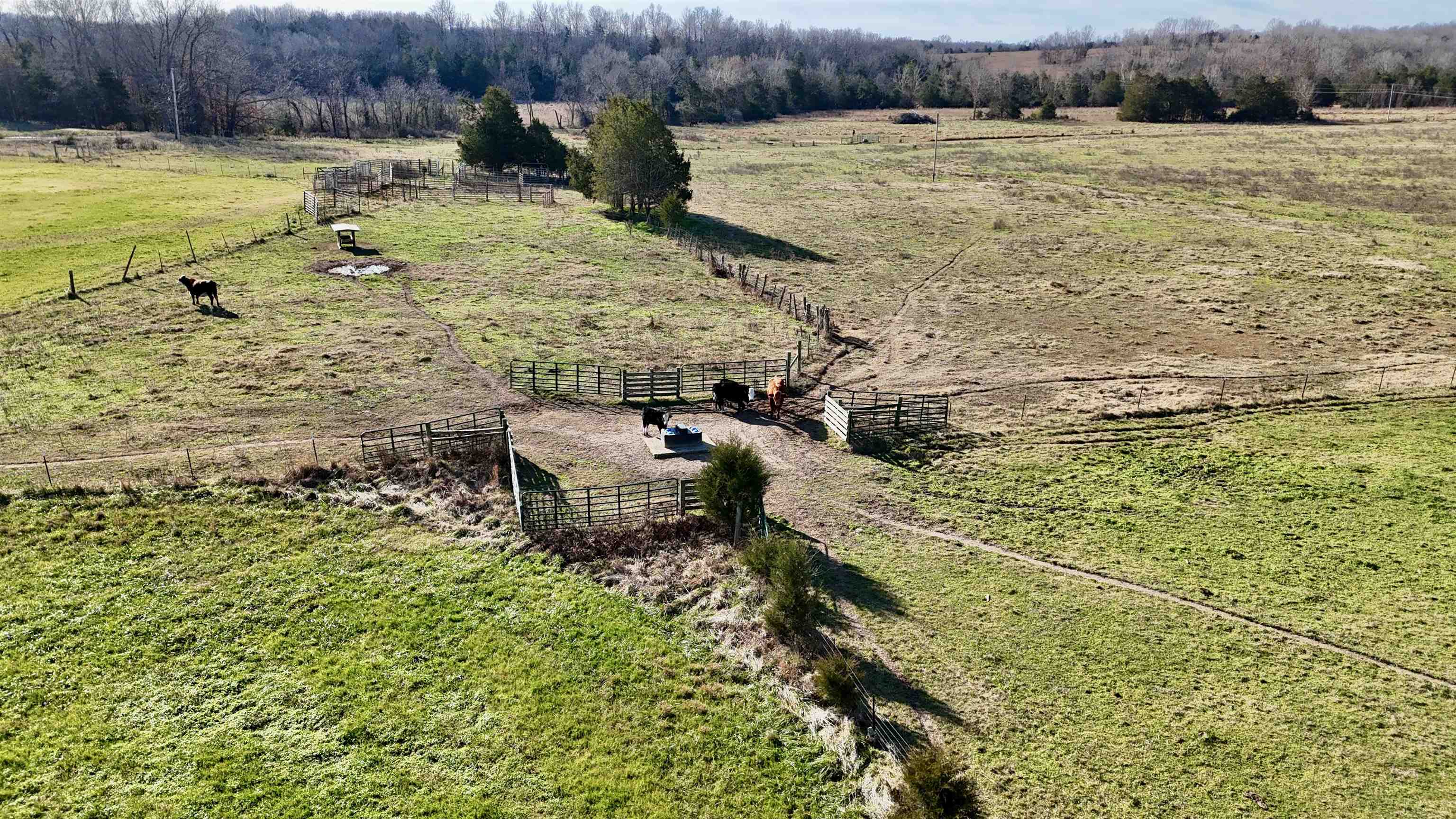 Photo 21 - Residential for sale – 1400  Antioch Road   Melbourne, AR