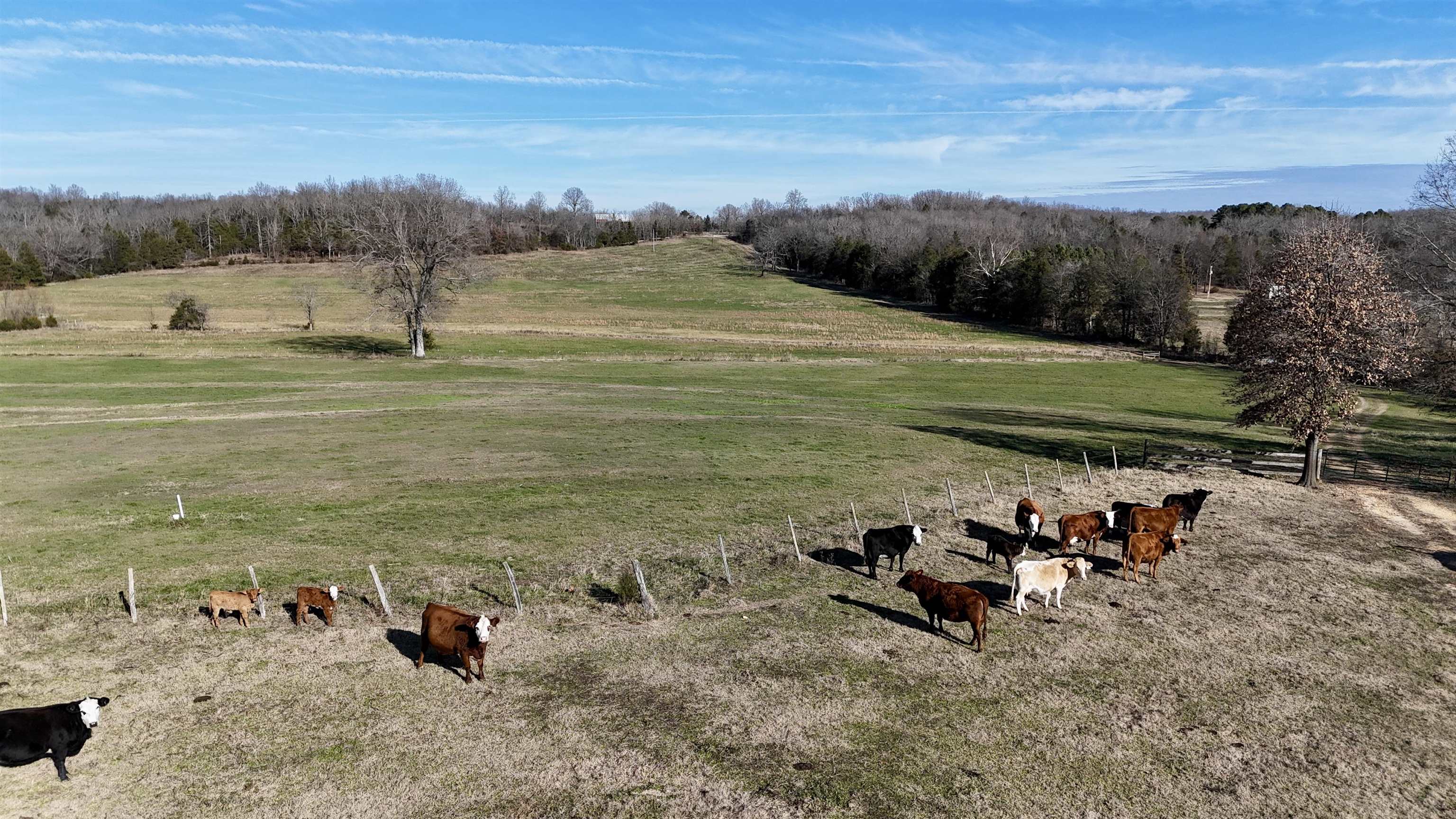 Photo 22 - Residential for sale – 1400  Antioch Road   Melbourne, AR