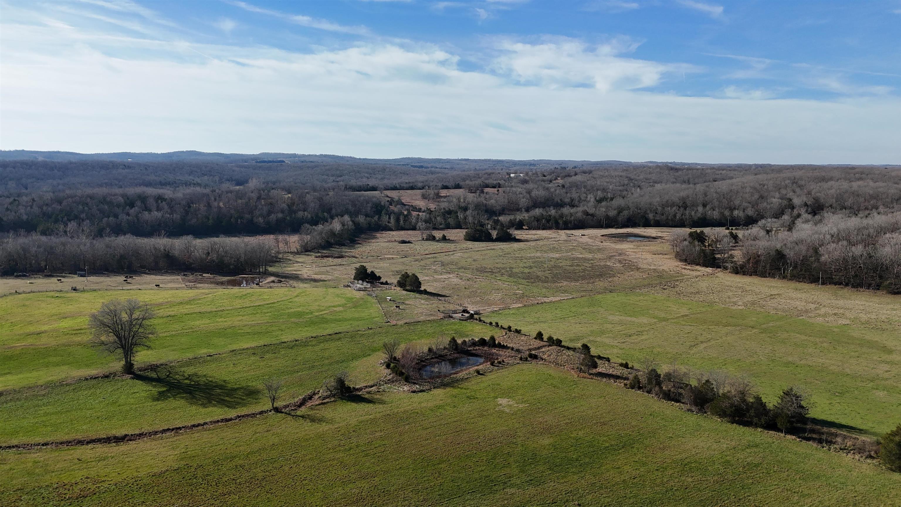 Photo 26 - Residential for sale – 1400  Antioch Road   Melbourne, AR