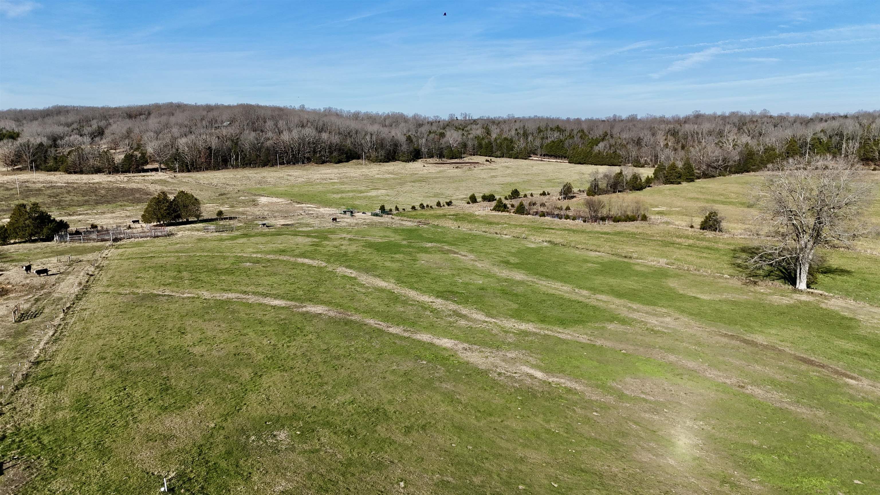 Photo 32 - Residential for sale – 1400  Antioch Road   Melbourne, AR