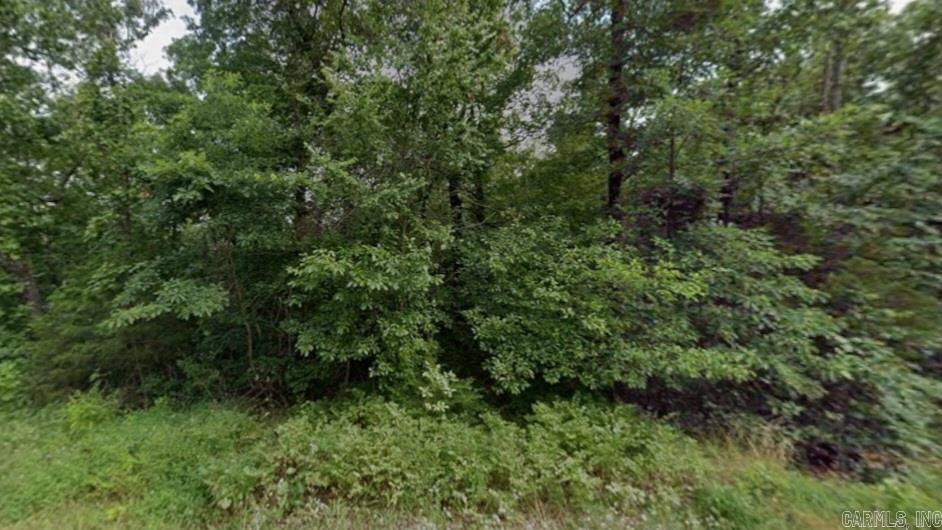 Photo 5 - Vacant Land for sale – Lot 1  Natchez   Cherokee Village, AR