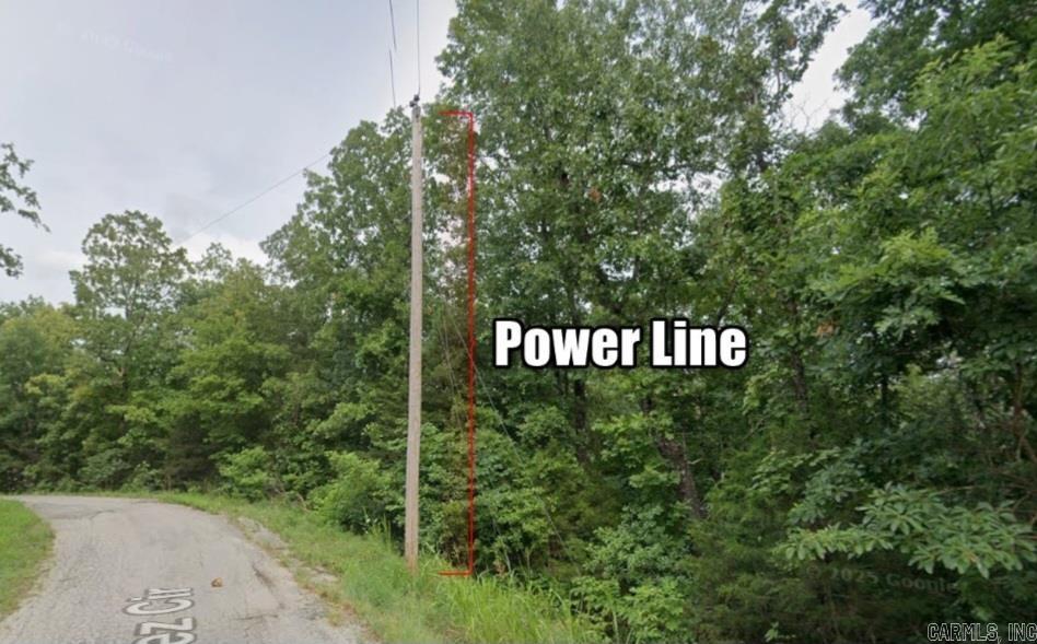 Photo 6 - Vacant Land for sale – Lot 1  Natchez   Cherokee Village, AR