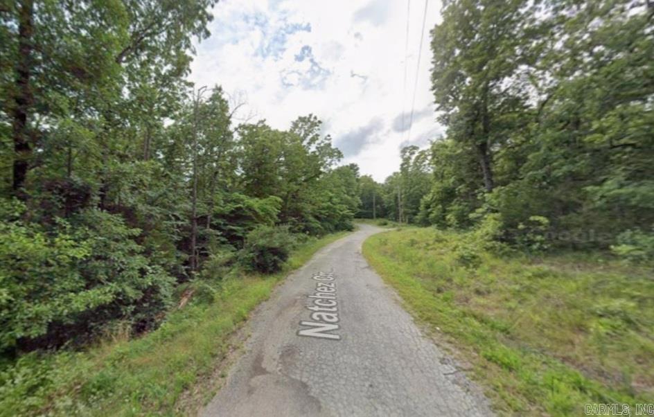 Photo 7 - Vacant Land for sale – Lot 1  Natchez   Cherokee Village, AR