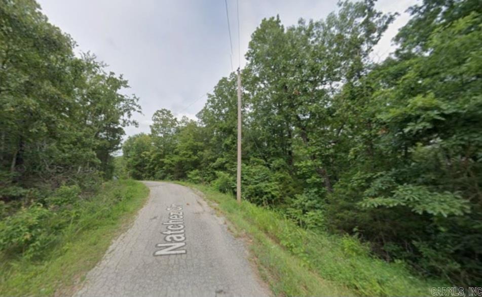 Photo 8 - Vacant Land for sale – Lot 1  Natchez   Cherokee Village, AR