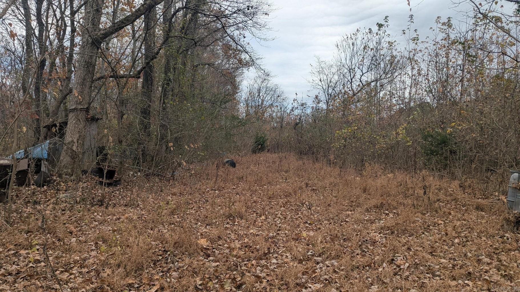 Photo 11 - Vacant Land for sale – 401  Weaver   Charlotte, AR