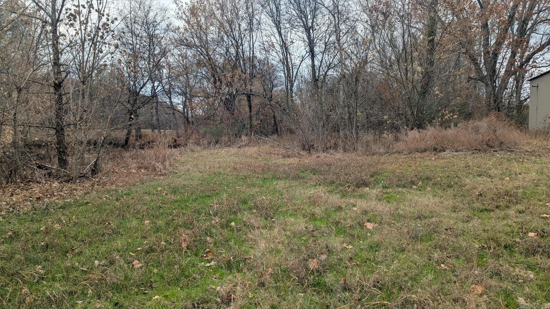 Photo 6 - Vacant Land for sale – 401  Weaver   Charlotte, AR