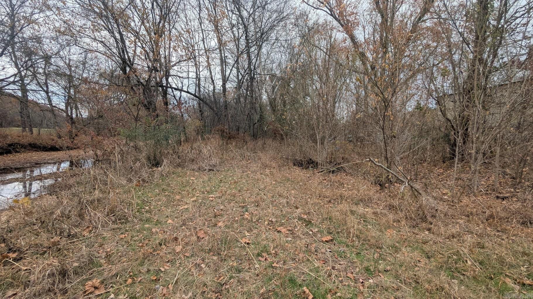 Photo 7 - Vacant Land for sale – 401  Weaver   Charlotte, AR