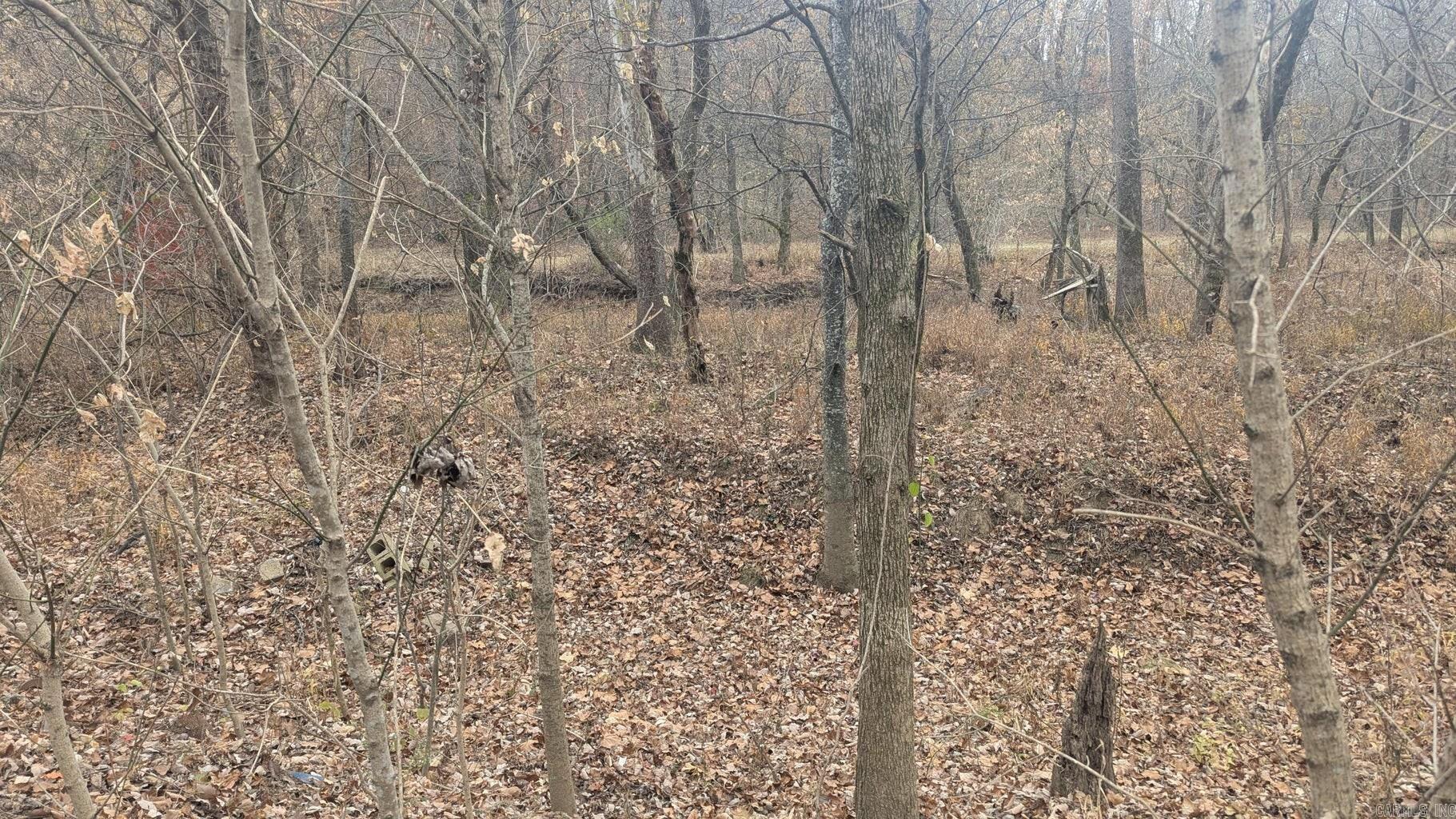 Photo 8 - Vacant Land for sale – 401  Weaver   Charlotte, AR