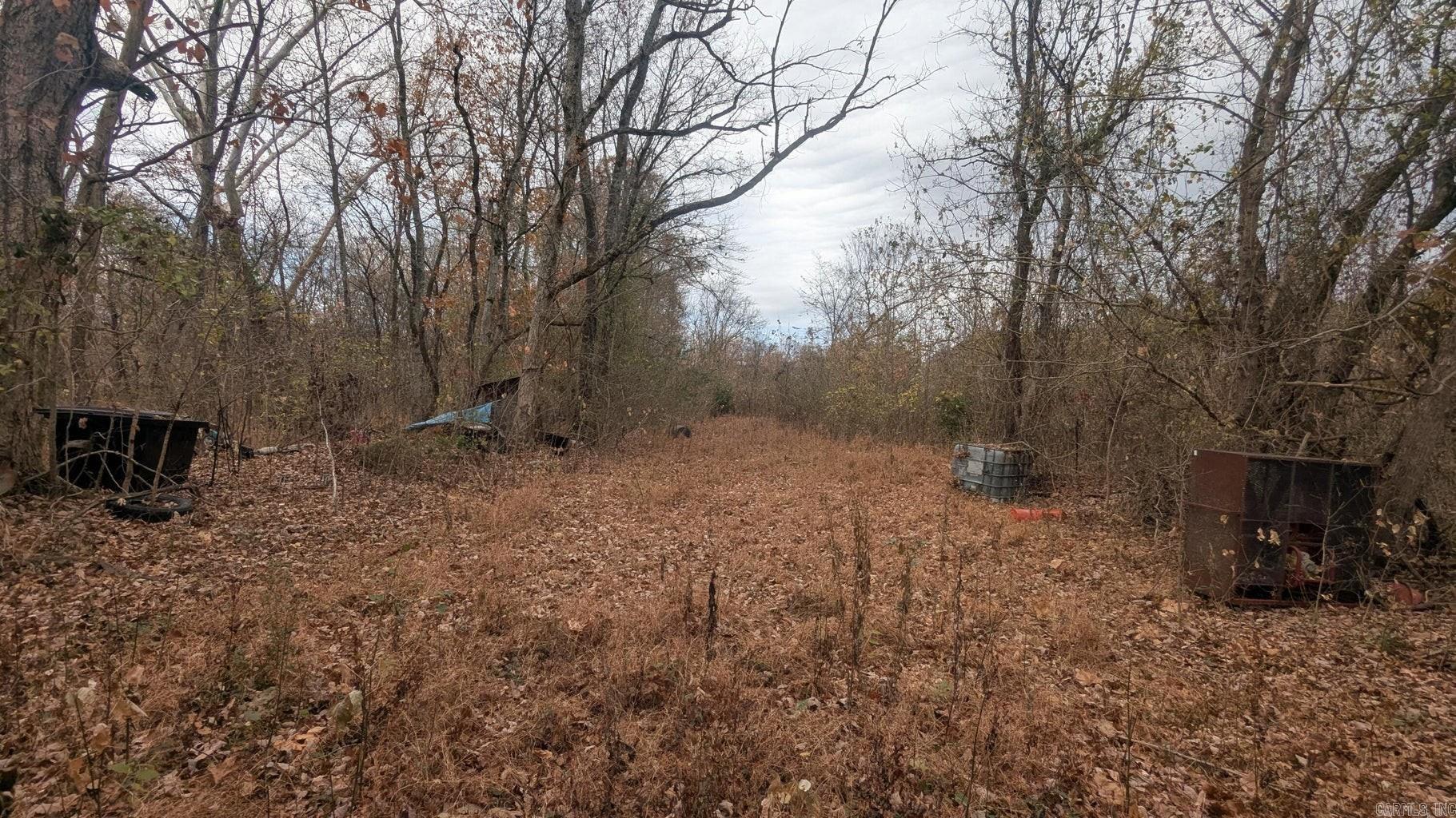 Photo 9 - Vacant Land for sale – 401  Weaver   Charlotte, AR