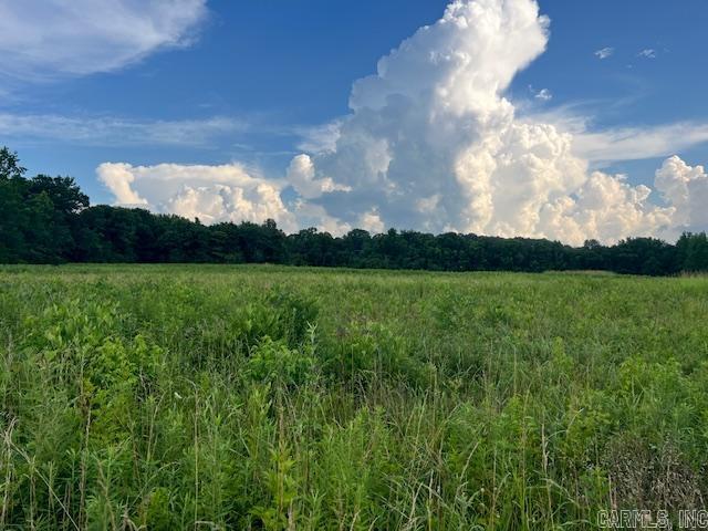 Photo 11 - Vacant Land for sale –   Harrison St / Hwy 69   Batesville, AR