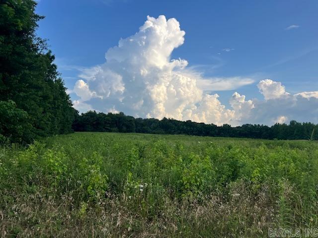 Photo 9 - Vacant Land for sale –   Harrison St / Hwy 69   Batesville, AR