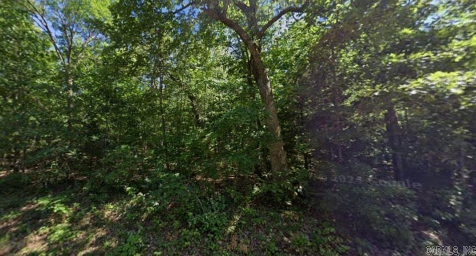 Photo 5 - Vacant Land for sale – Lot 3  Merrimac   Cherokee Village, AR