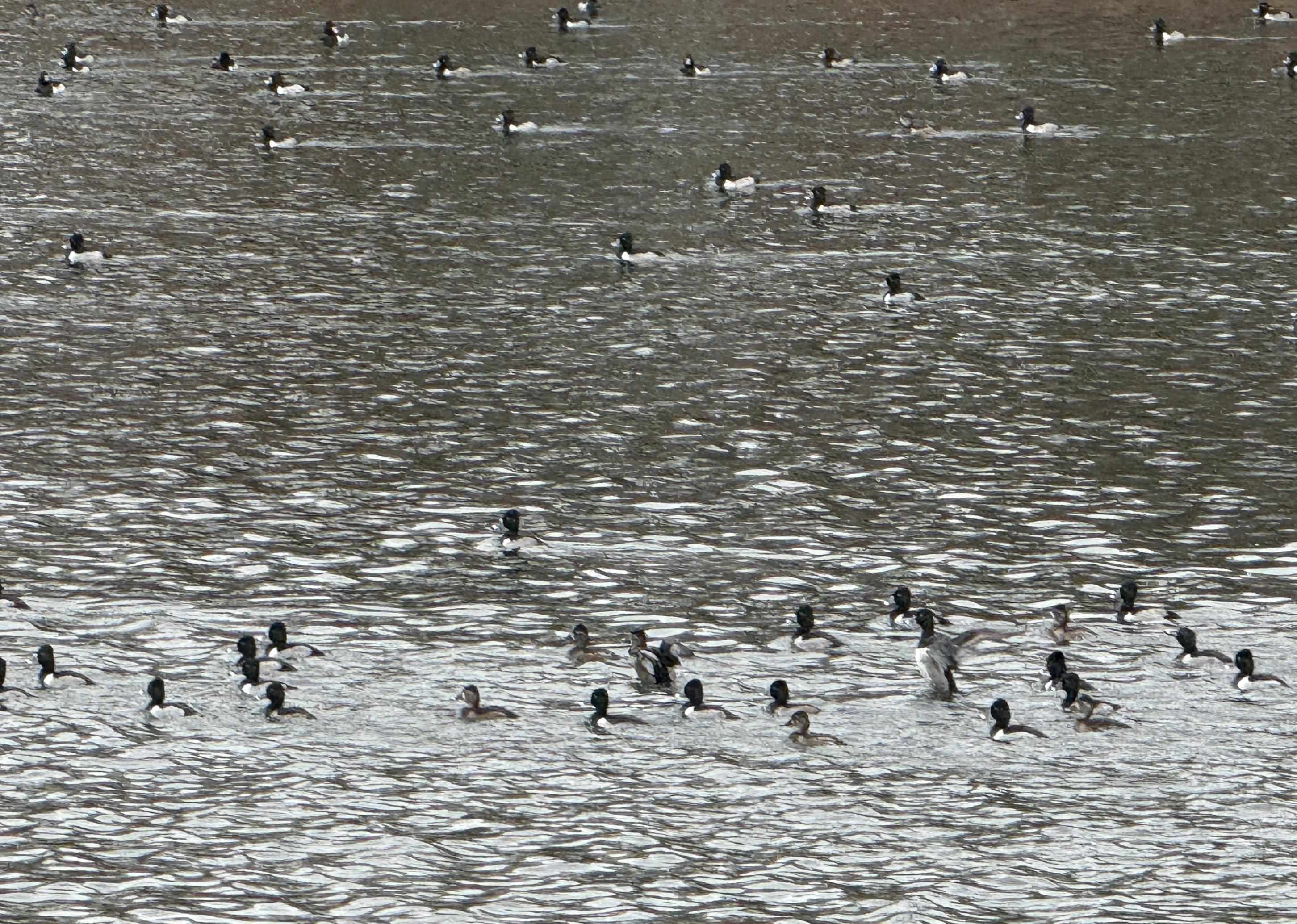 Photo 5 - Residential for sale – 30  Oniatara   Cherokee Village, AR