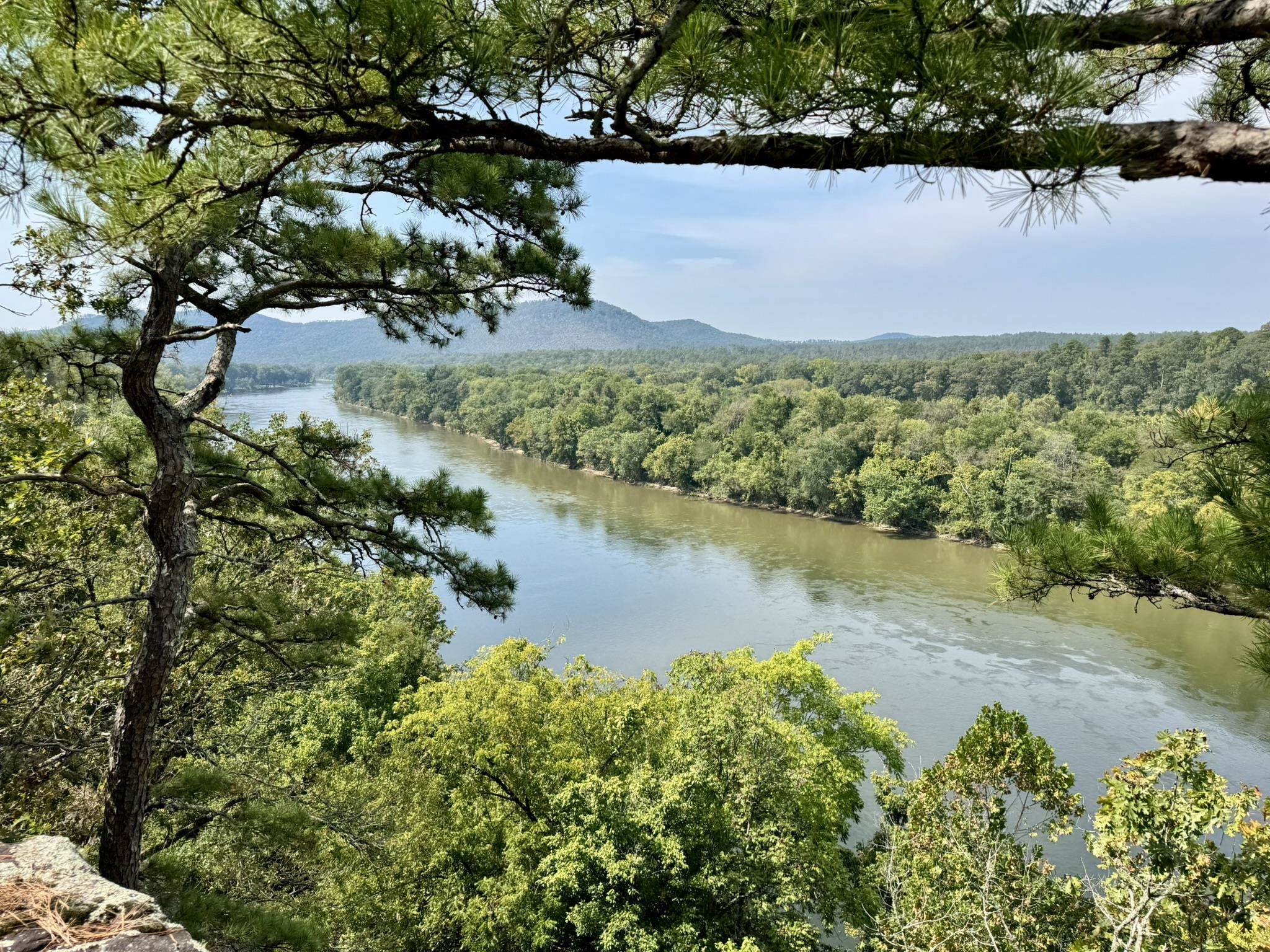 Photo 2 - Vacant Land for sale – 70  Mount Olive Road   Melbourne, AR