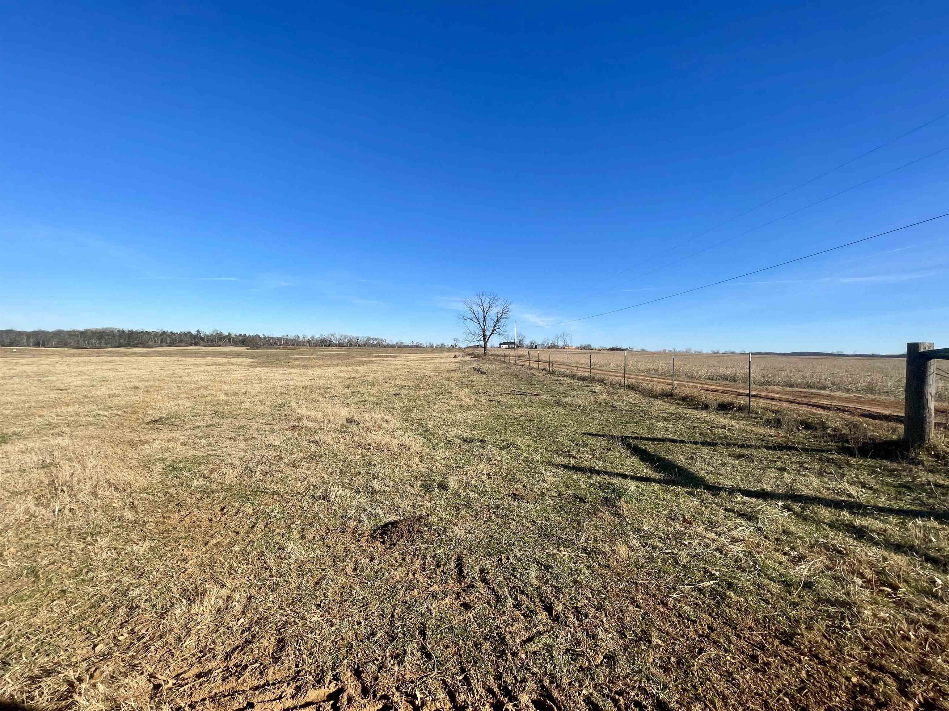 Photo 14 - Vacant Land for sale – 0  Phillips   Franklin, AR