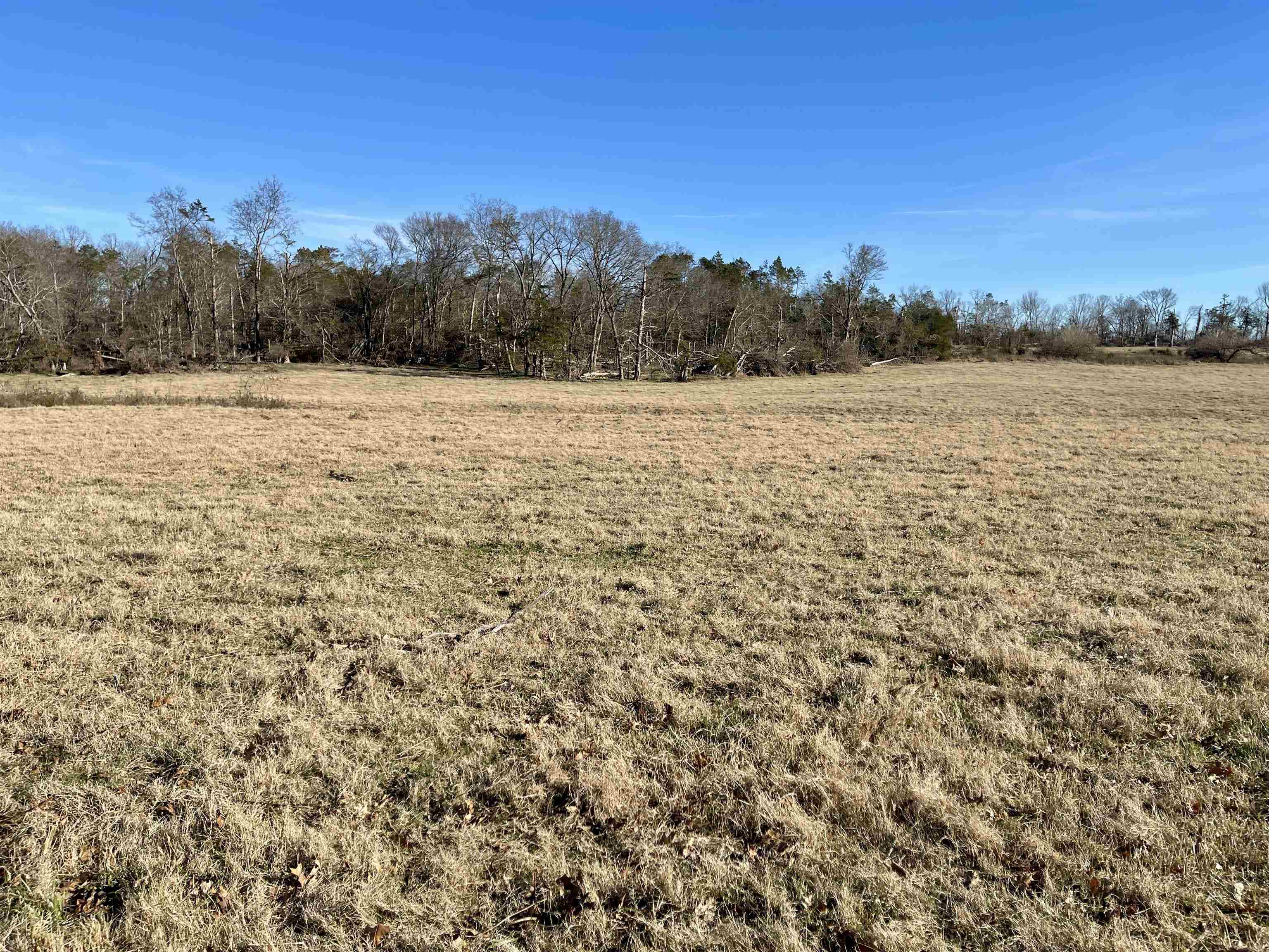 Photo 15 - Vacant Land for sale – 0  Phillips   Franklin, AR