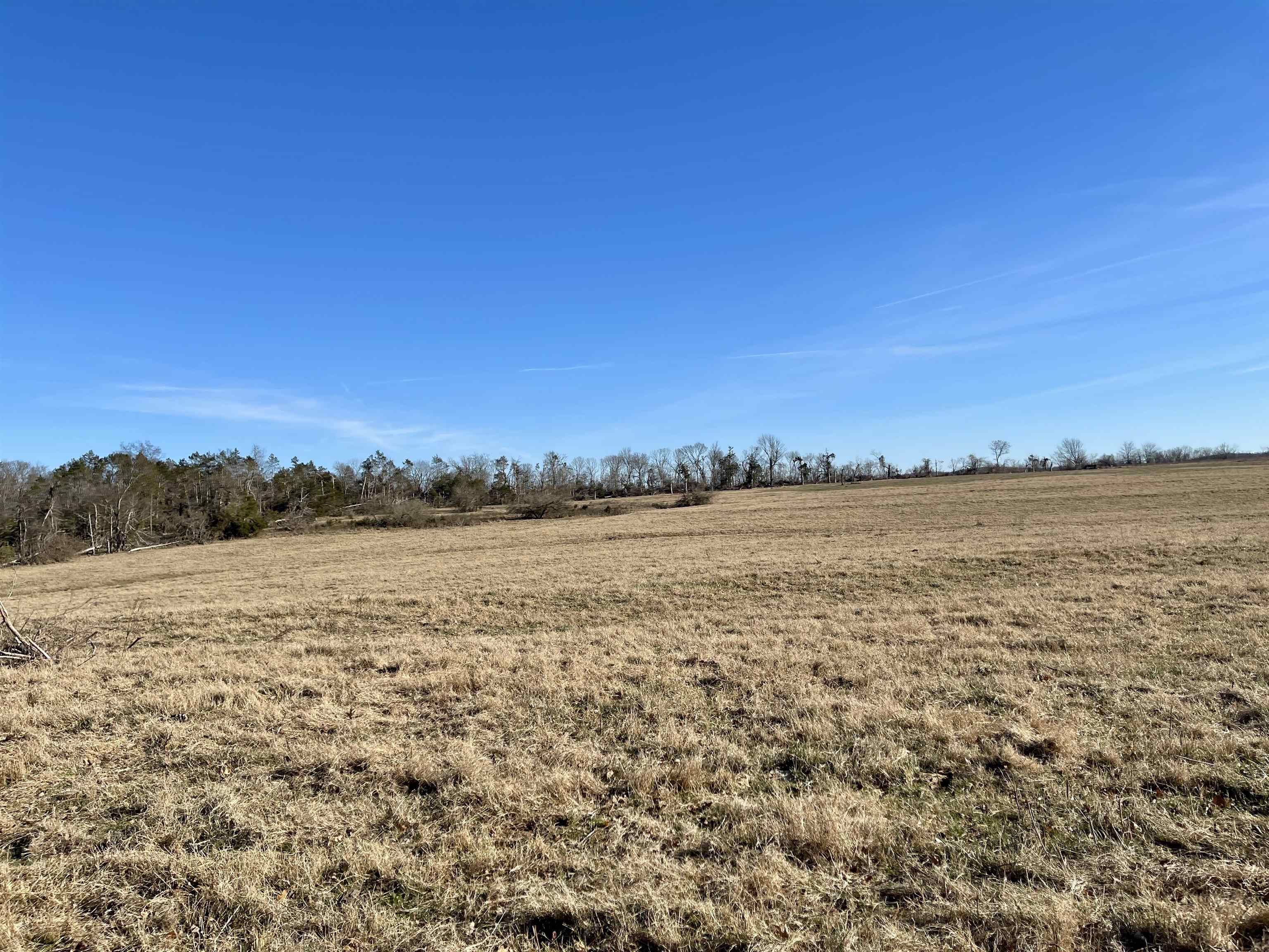 Photo 16 - Vacant Land for sale – 0  Phillips   Franklin, AR