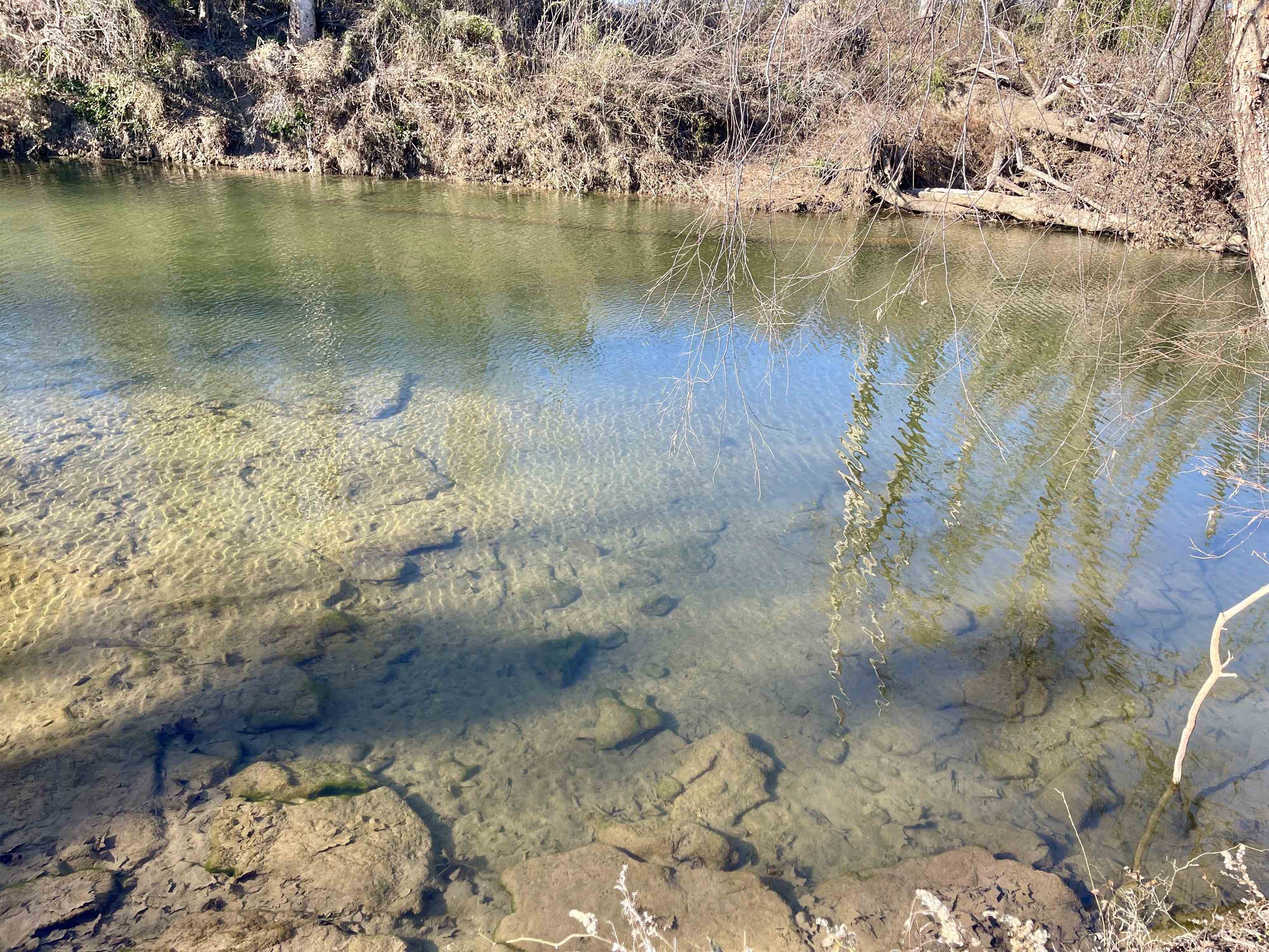 Photo 6 - Vacant Land for sale – 0  Phillips   Franklin, AR