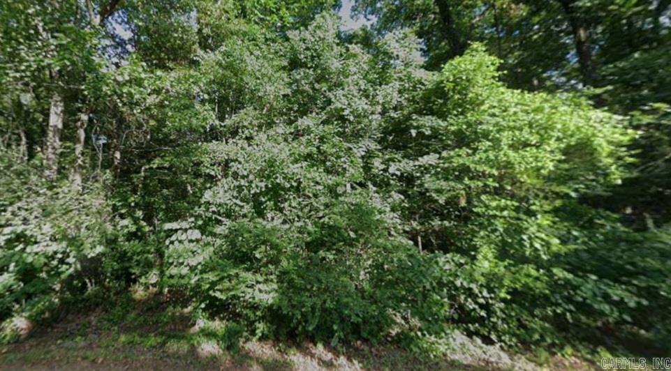 Photo 4 - Vacant Land for sale – Lot 1-2 E Lakeshore   Cherokee Village, AR