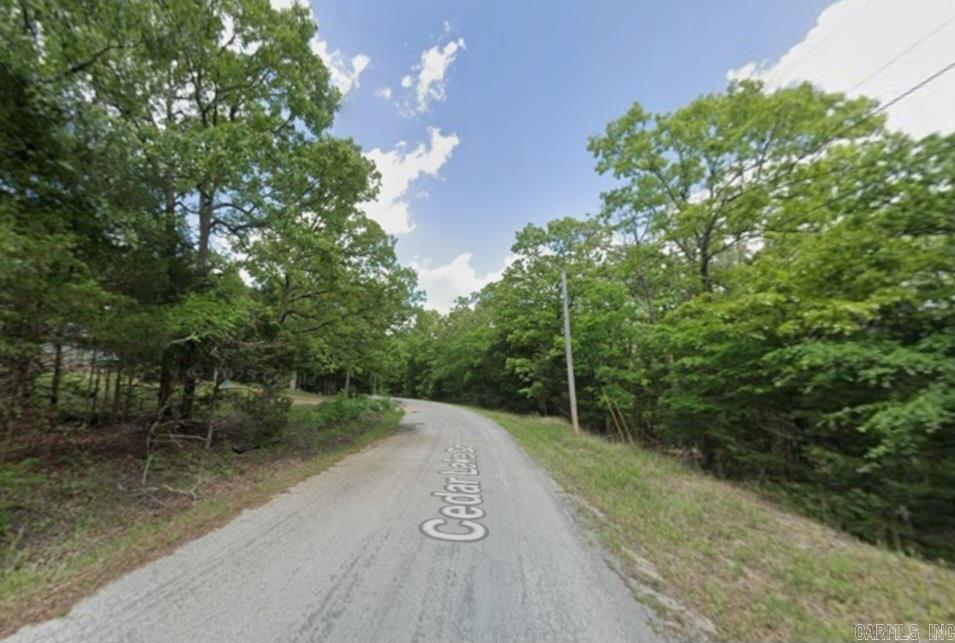 Photo 4 - Vacant Land for sale – 1102  Cedar Lake   Horseshoe Bend, AR