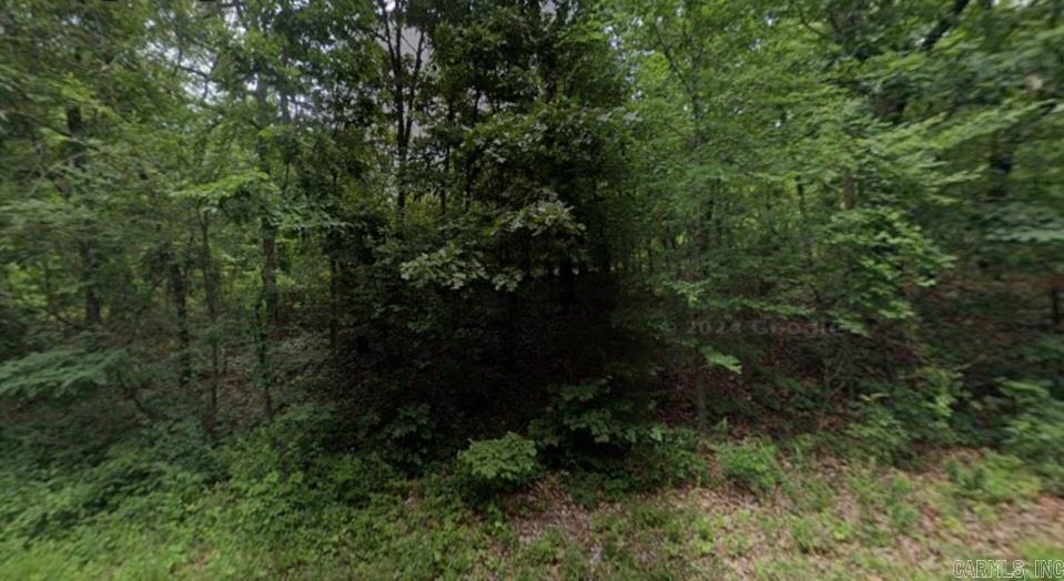 Photo 4 - Vacant Land for sale – Lots 1-3  Acres   Ozark Acres, AR