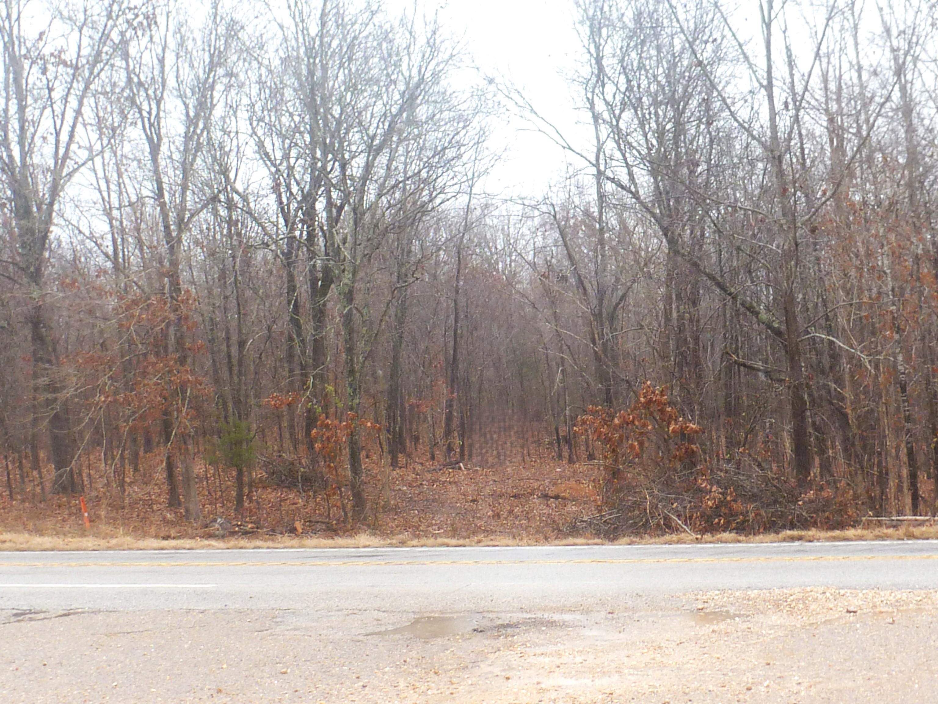 Vacant Land for sale – TBD  N Hwy 63   Hardy, AR