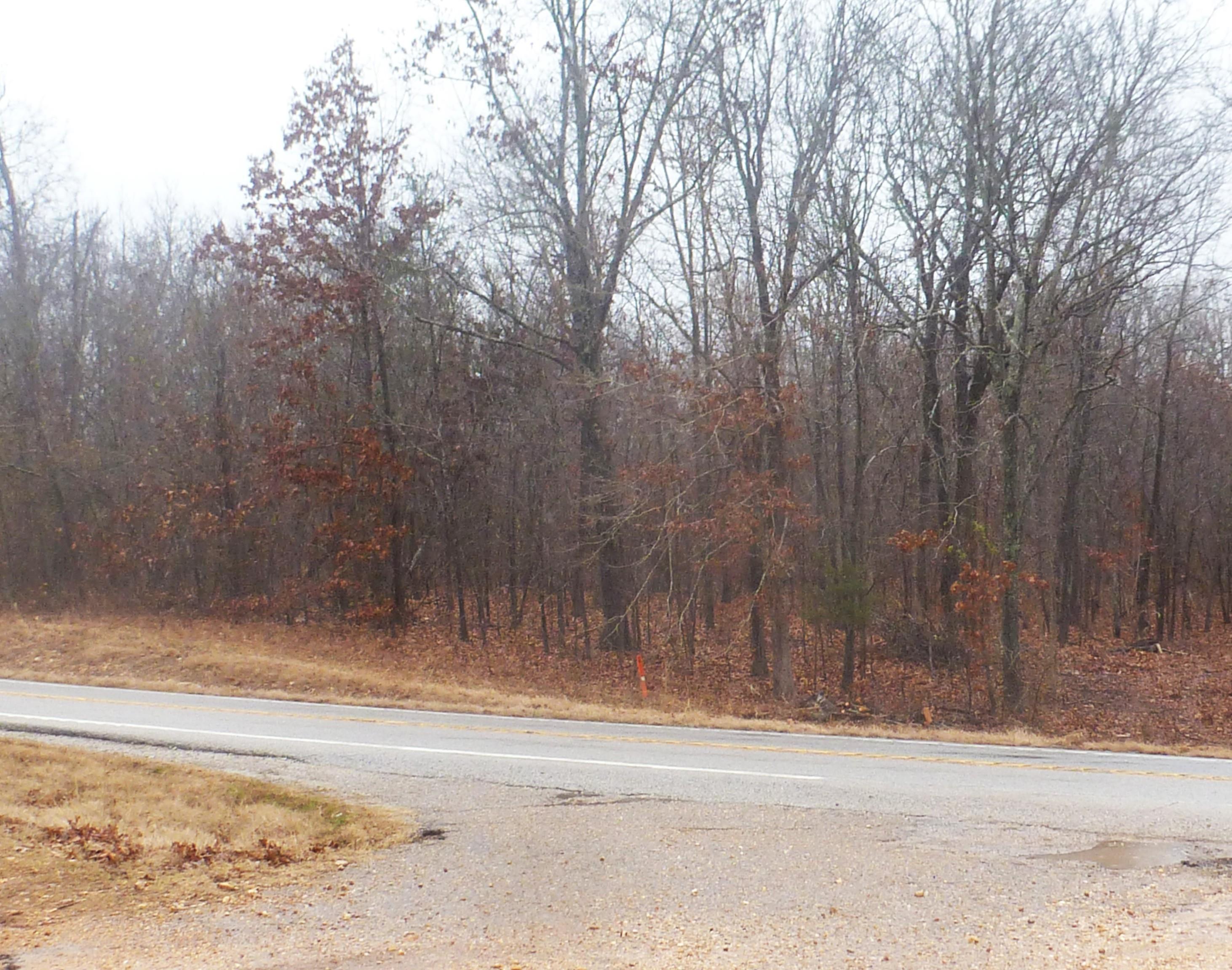 Photo 3 - Vacant Land for sale – TBD  N Hwy 63   Hardy, AR