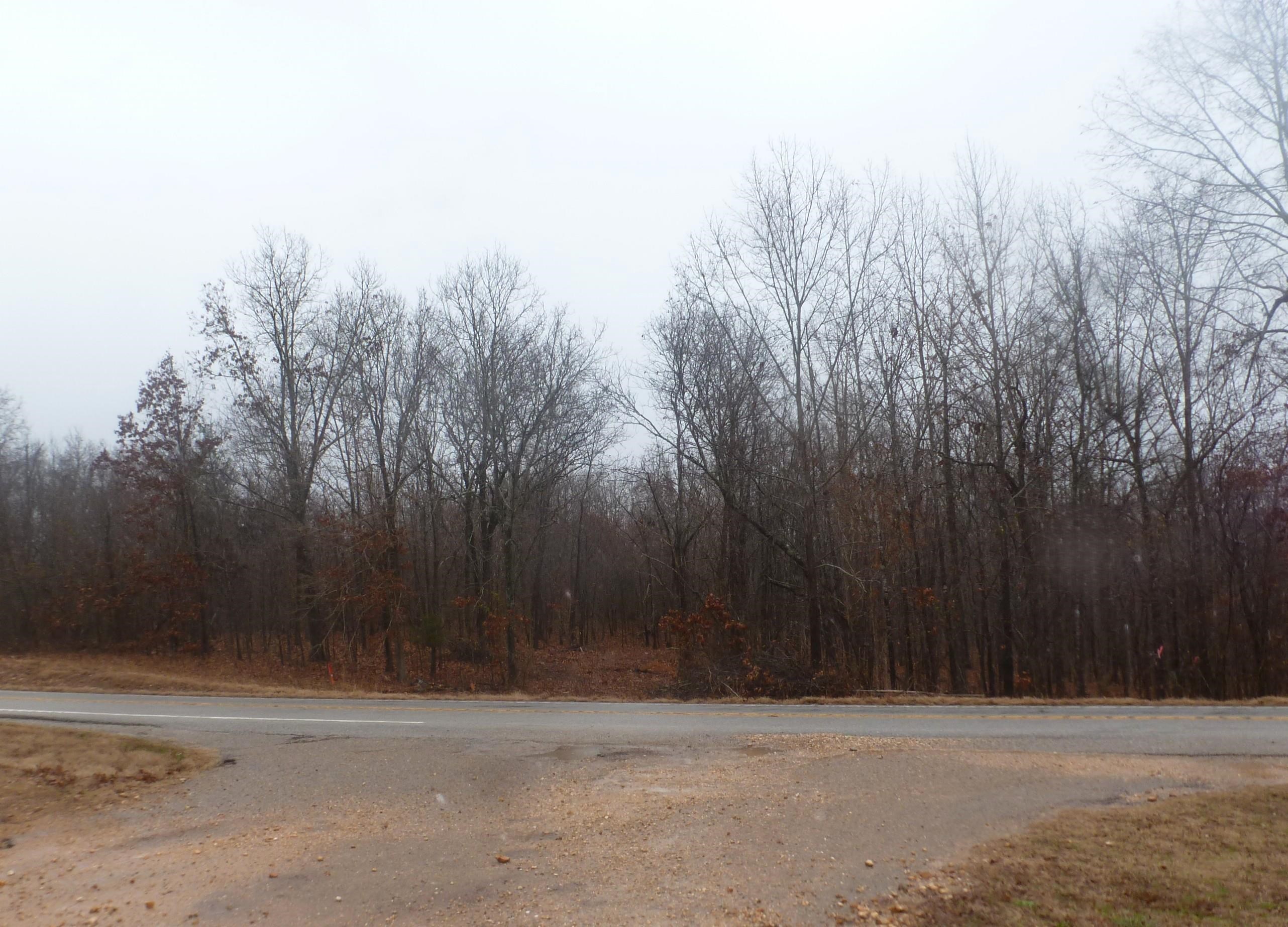Photo 4 - Vacant Land for sale – TBD  N Hwy 63   Hardy, AR