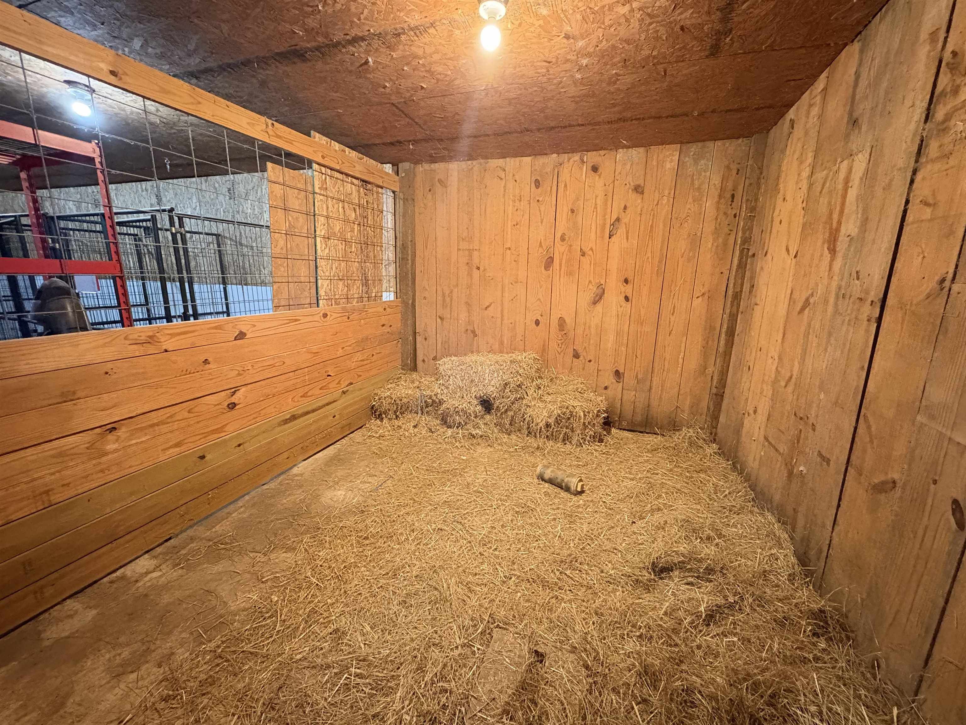 Photo 26 - Residential for sale – 305  Norris   Batesville, AR