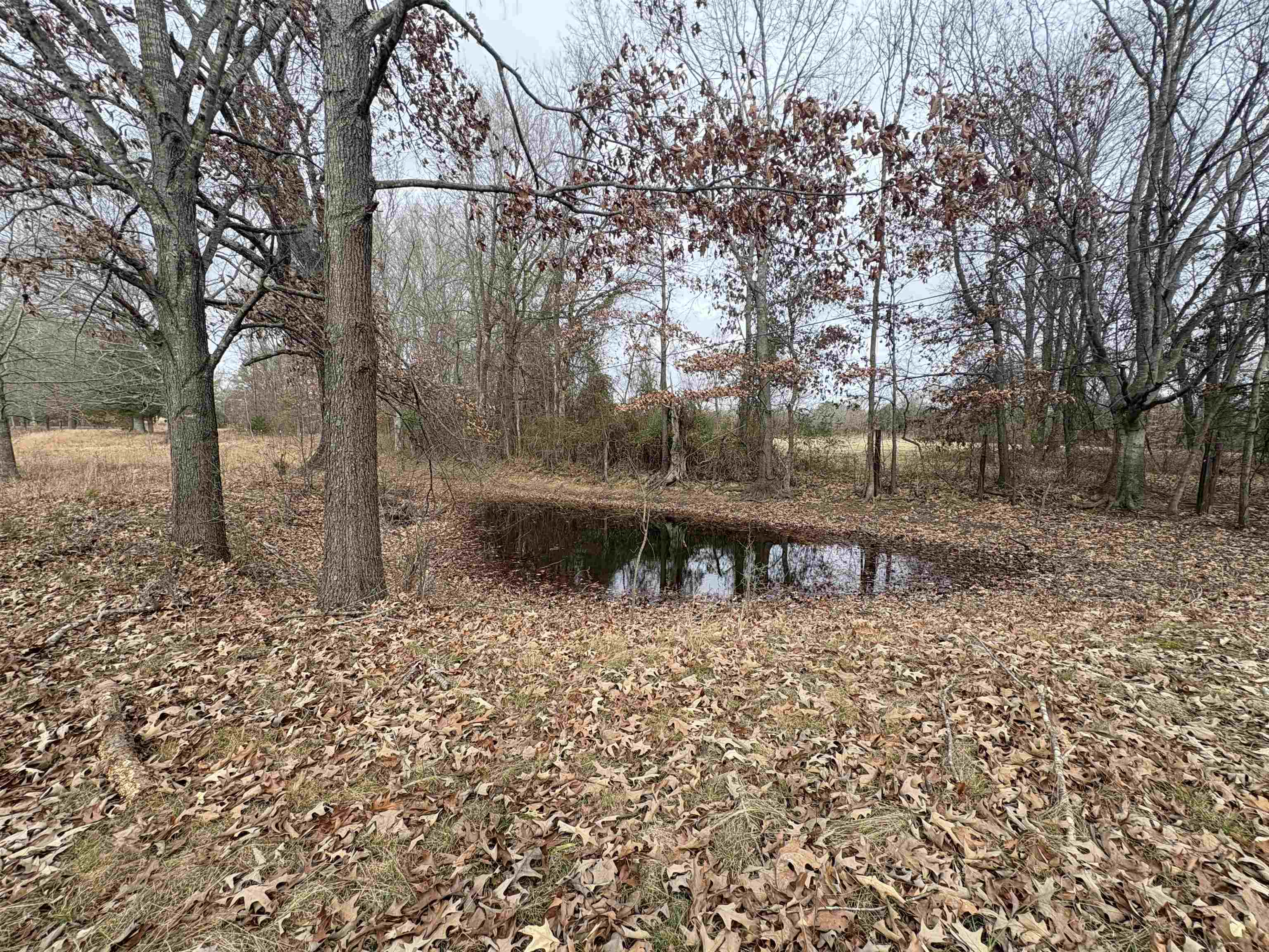 Photo 44 - Residential for sale – 305  Norris   Batesville, AR