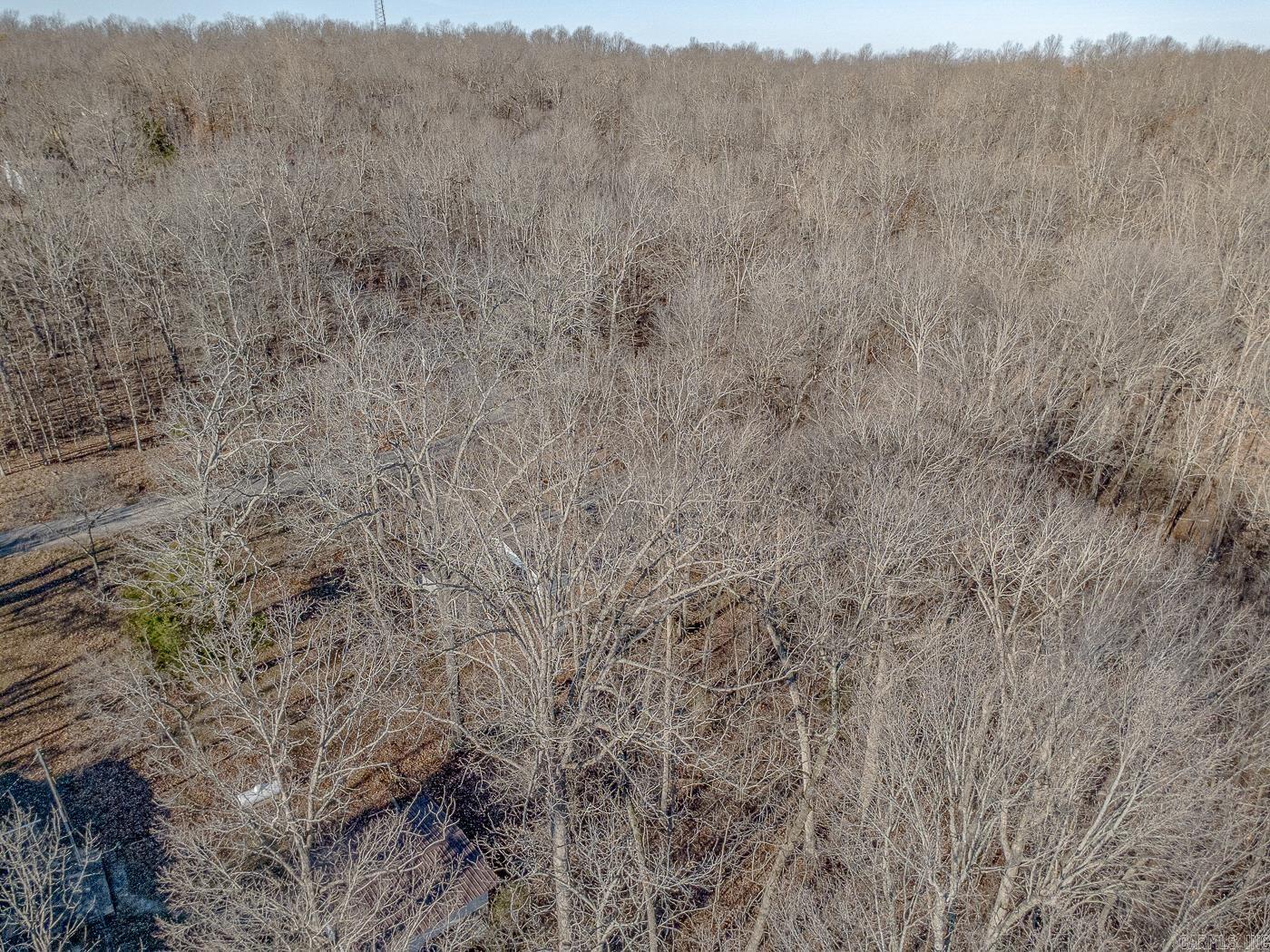 Photo 34 - Residential for sale – 10  Dogwood Trail   Williford, AR