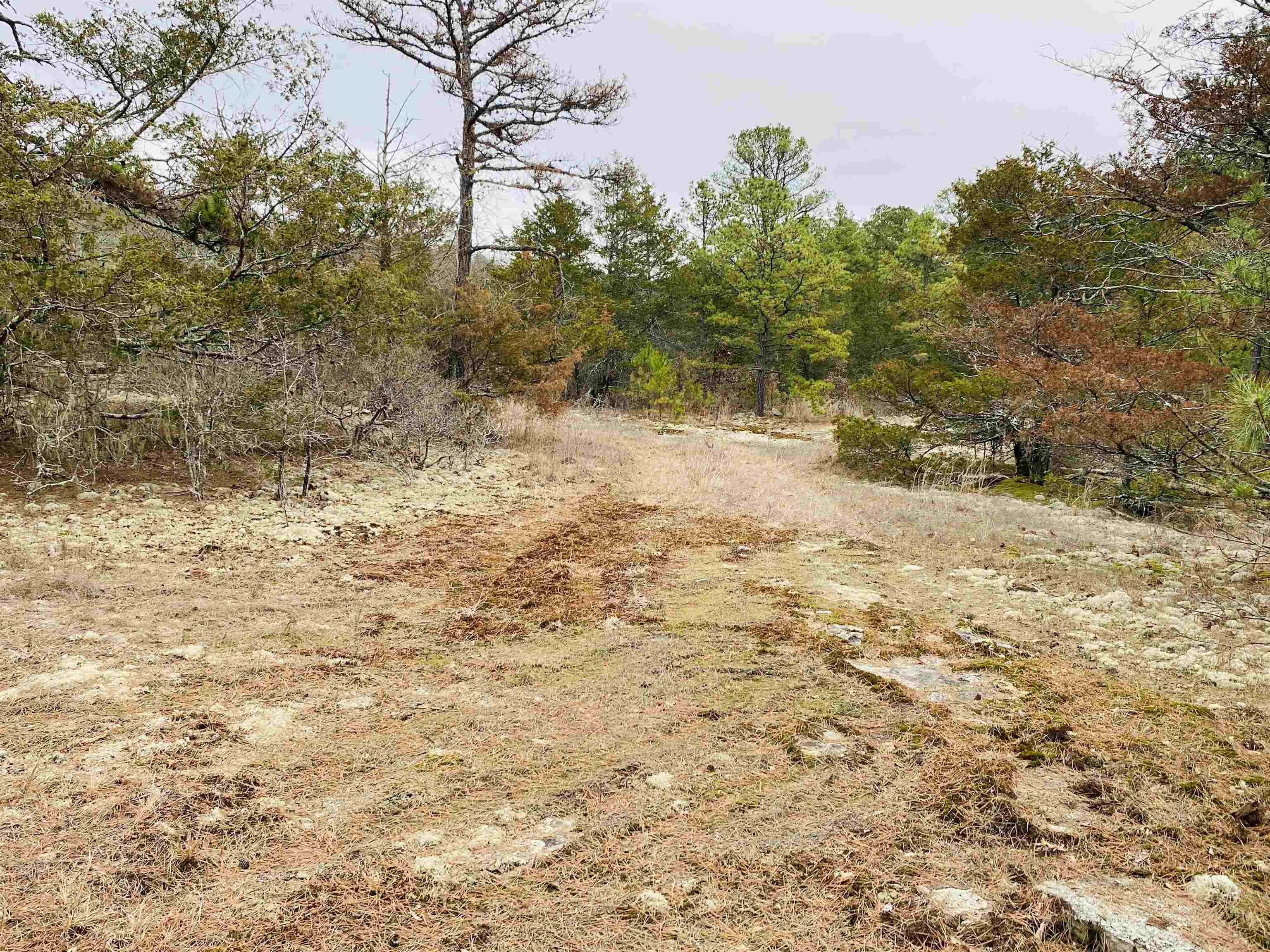 Photo 14 - Residential for sale – 1019  Bartmess Road   Calico Rock, AR