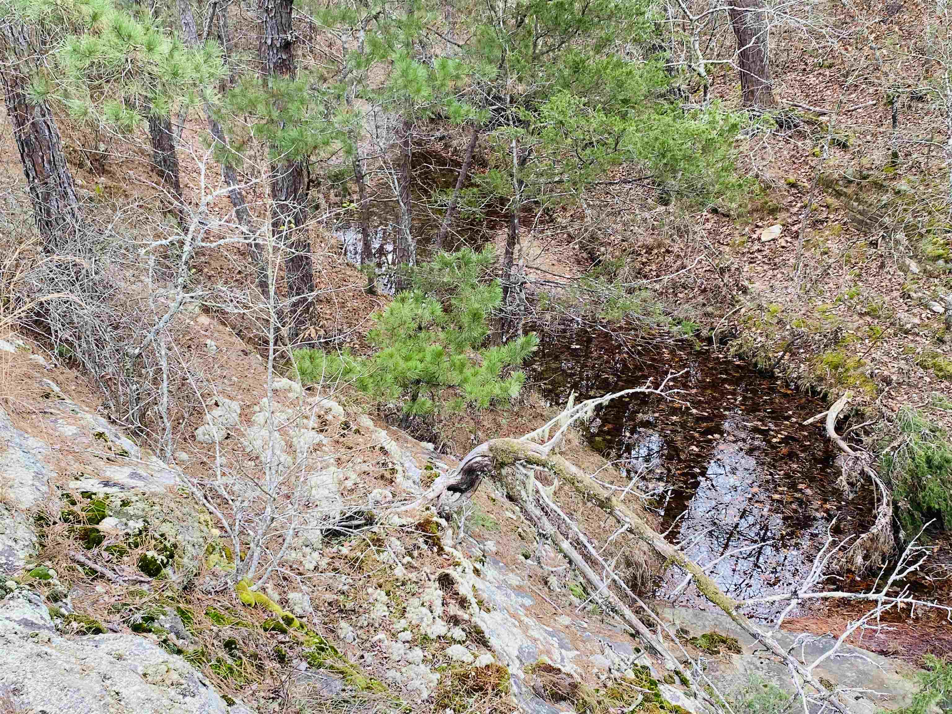 Photo 3 - Residential for sale – 1019  Bartmess Road   Calico Rock, AR