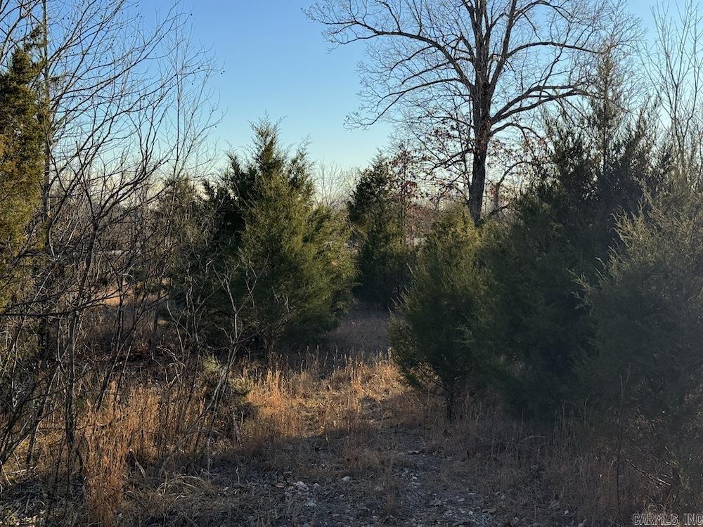 Photo 2 - Vacant Land for sale –   Hwy 62/36   Williford, AR