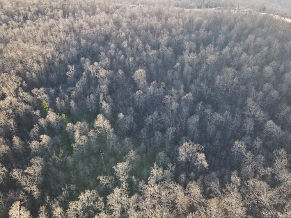 Photo 11 - Vacant Land for sale –   Hwy 62/36   Williford, AR