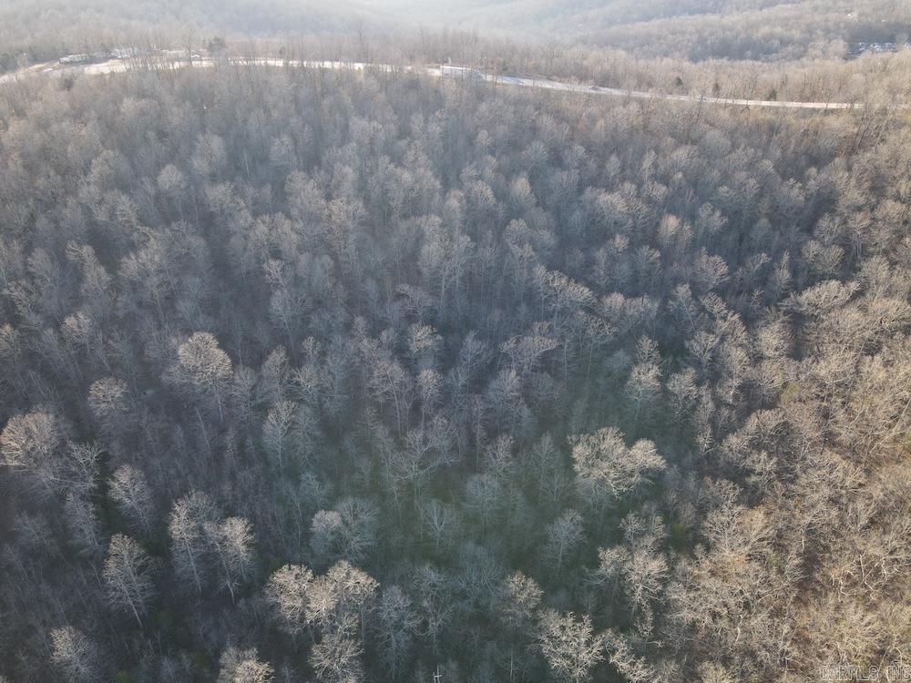 Photo 13 - Vacant Land for sale –   Hwy 62/36   Williford, AR