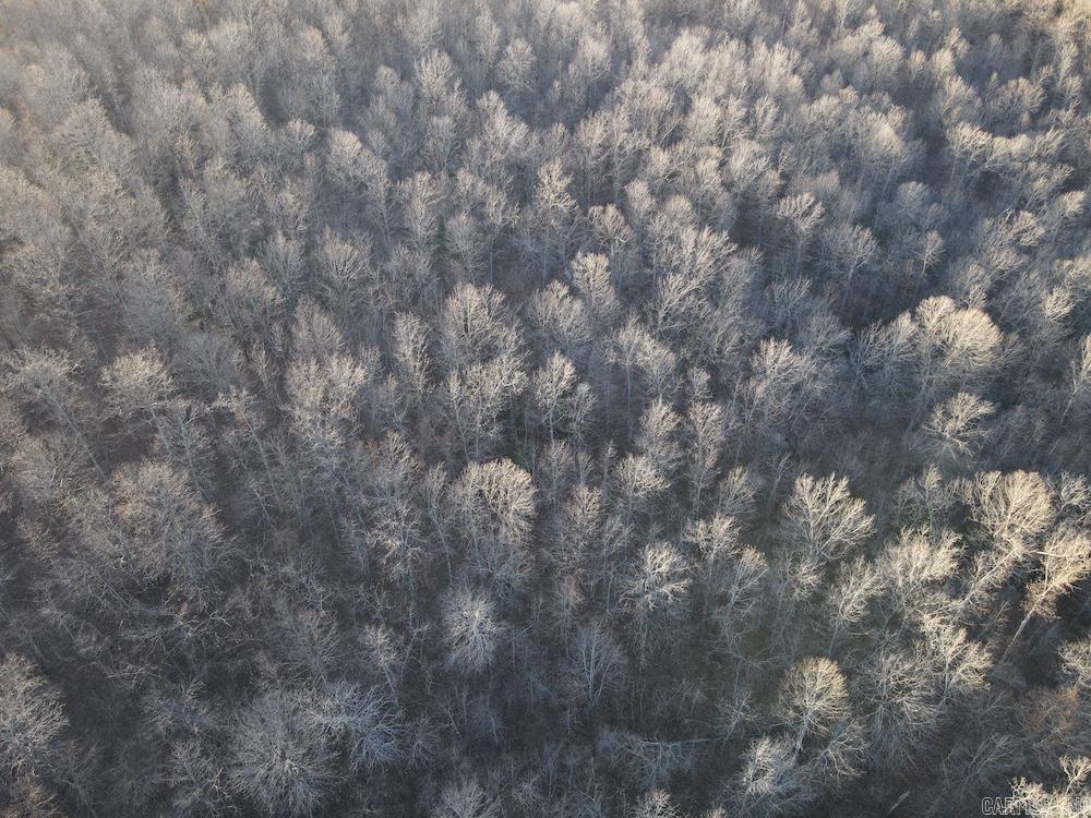 Photo 16 - Vacant Land for sale –   Hwy 62/36   Williford, AR