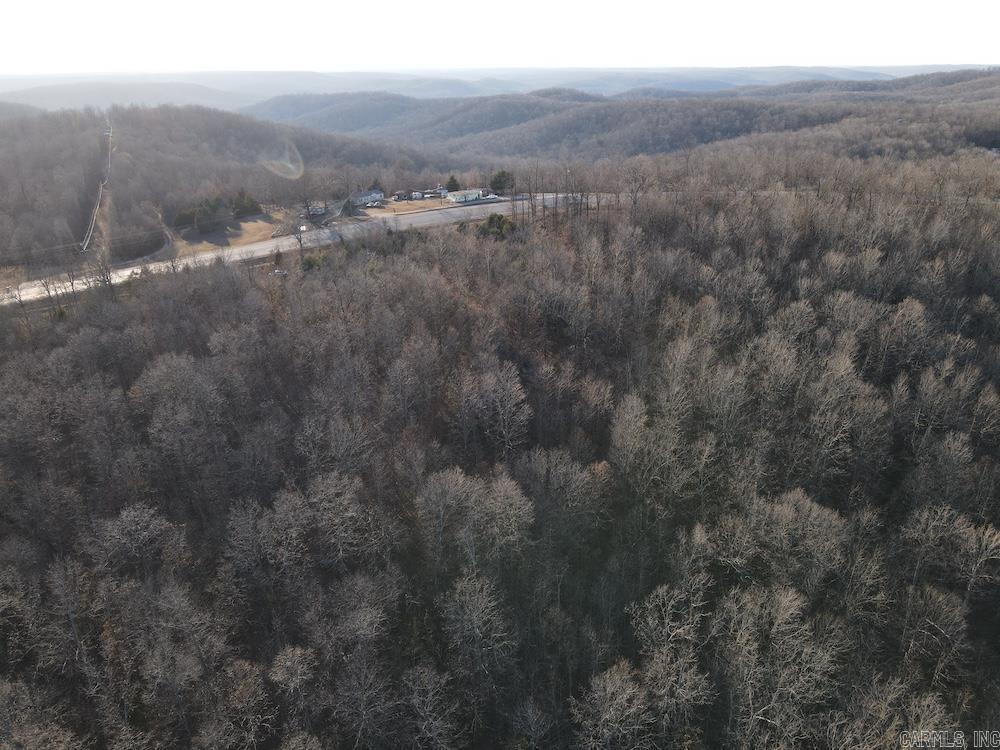 Photo 17 - Vacant Land for sale –   Hwy 62/36   Williford, AR