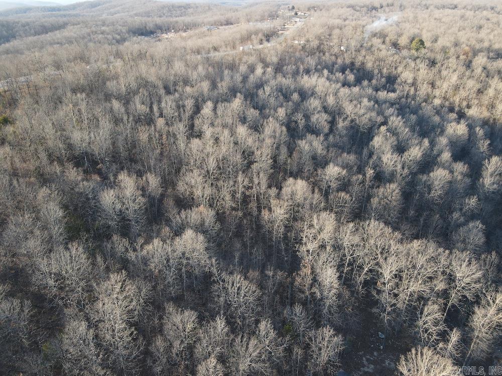 Photo 18 - Vacant Land for sale –   Hwy 62/36   Williford, AR