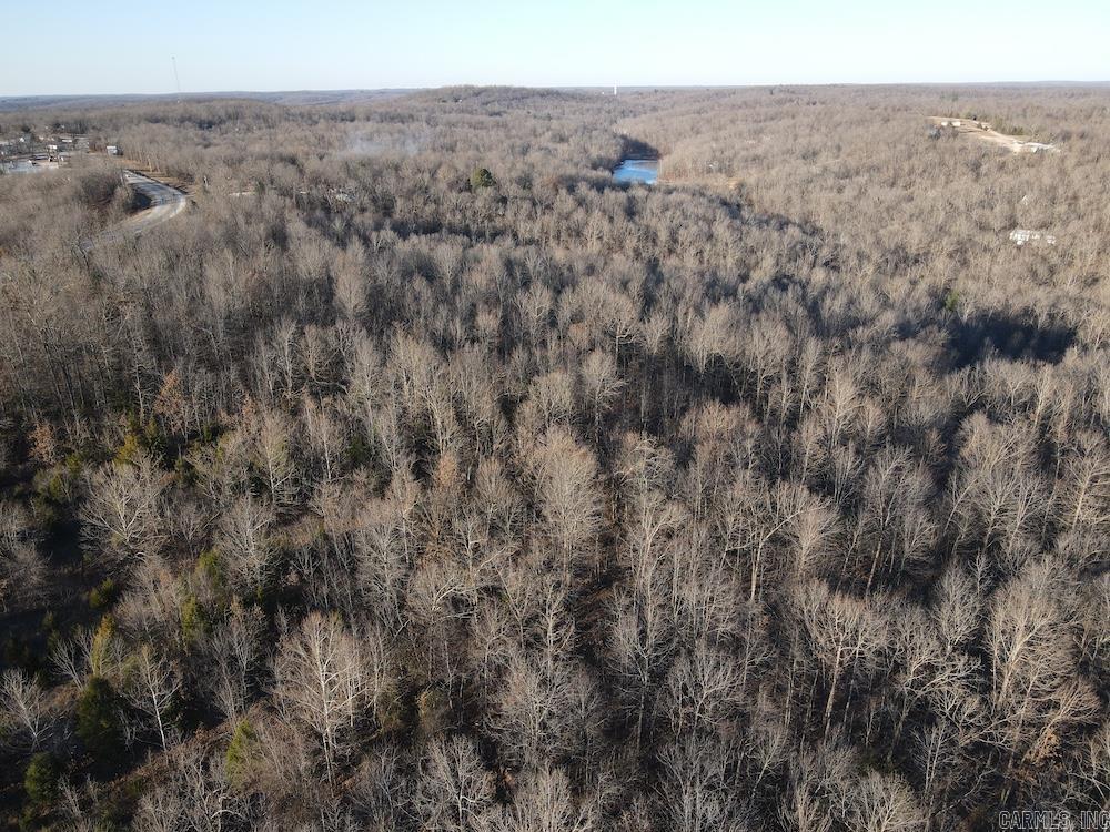 Photo 19 - Vacant Land for sale –   Hwy 62/36   Williford, AR