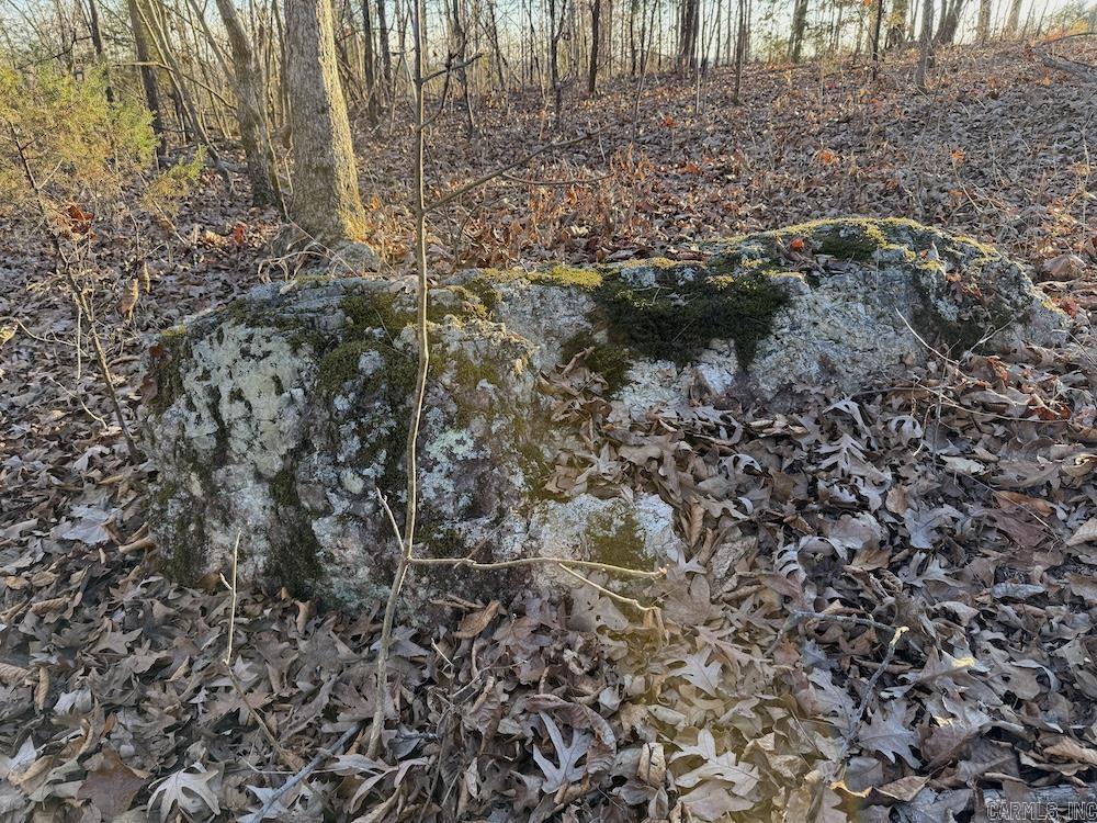 Photo 3 - Vacant Land for sale –   Hwy 62/36   Williford, AR