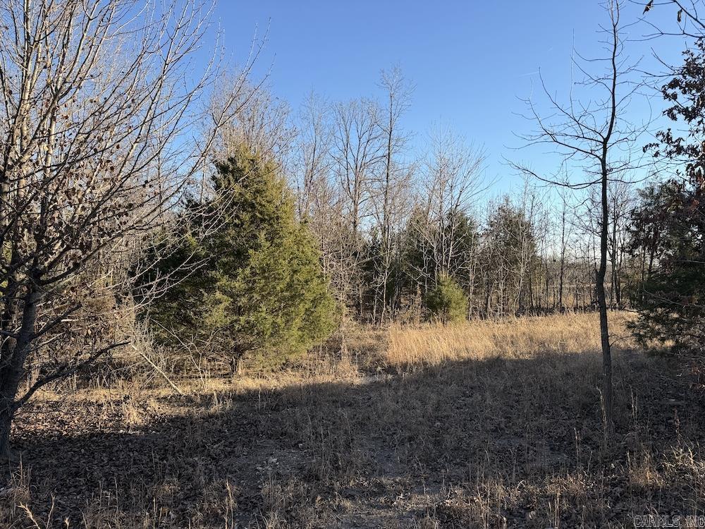 Photo 23 - Vacant Land for sale –   Hwy 62/36   Williford, AR