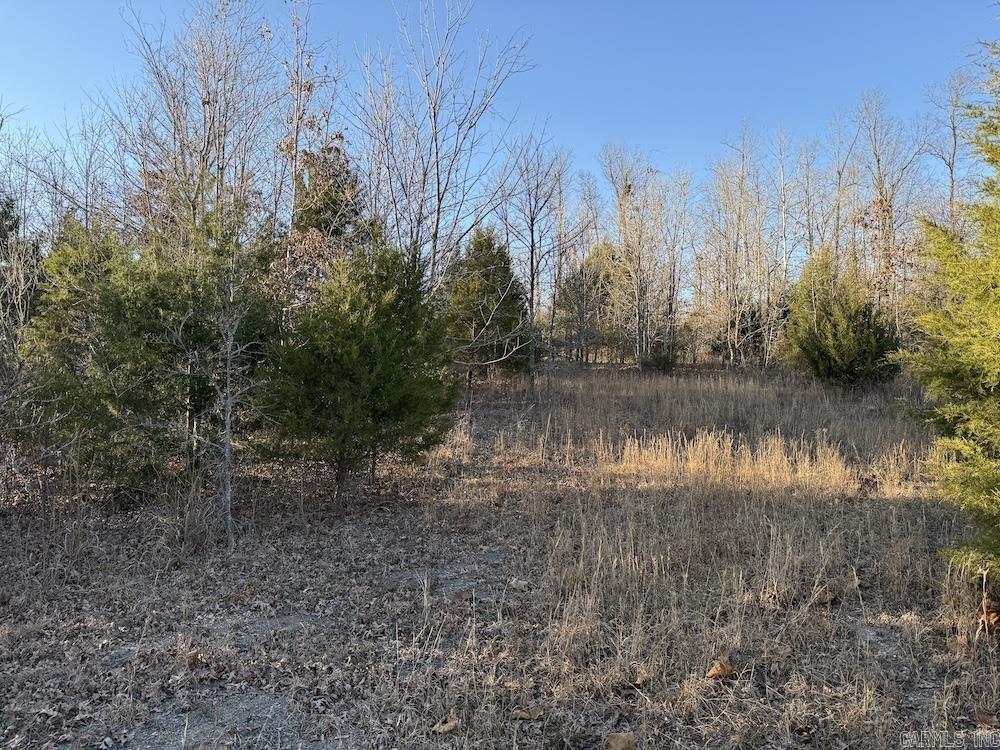 Photo 24 - Vacant Land for sale –   Hwy 62/36   Williford, AR